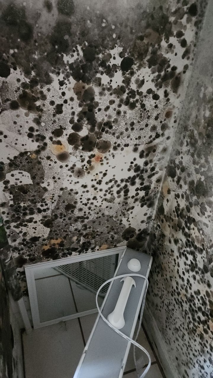 Damage caused from leaking water hea  er by Building performance Solutions LLC