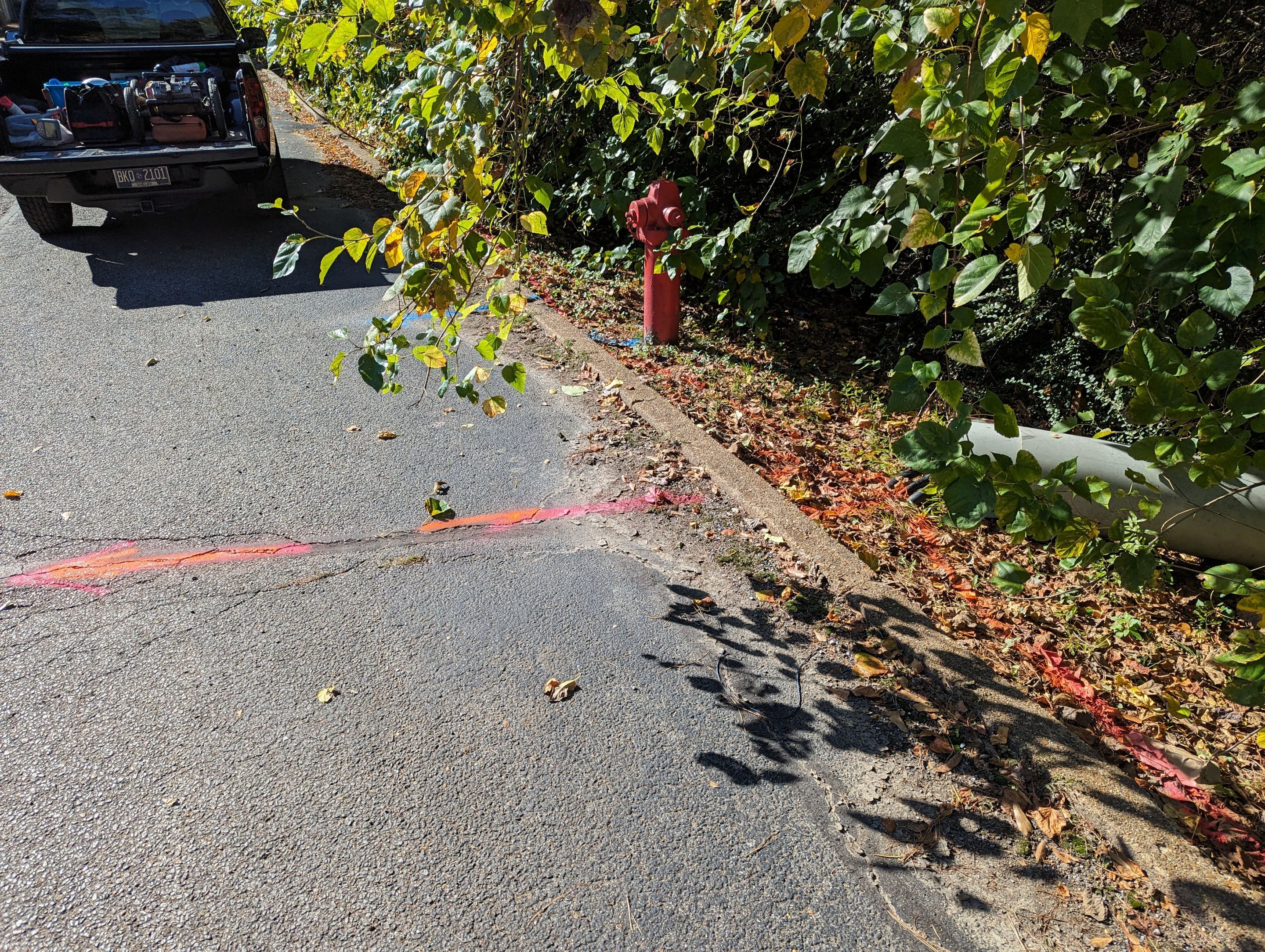 Utility Locating and Verification for Survey Crew by Alsip Locating Service, LLC