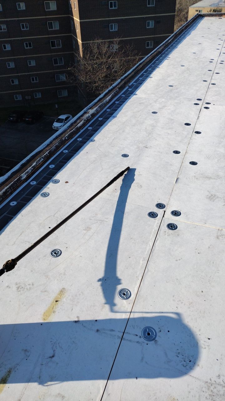 Commercial flat roof parma by Absolute Roofing and Construction