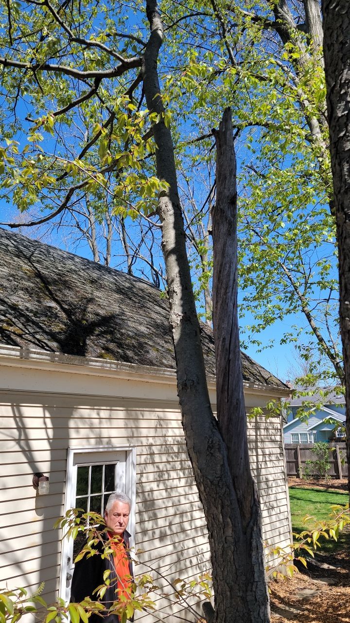 Brand: Atlas Pinnacle Color: Pristine Scotchgarde Black Drip: Black by Eagle Eye Roofing