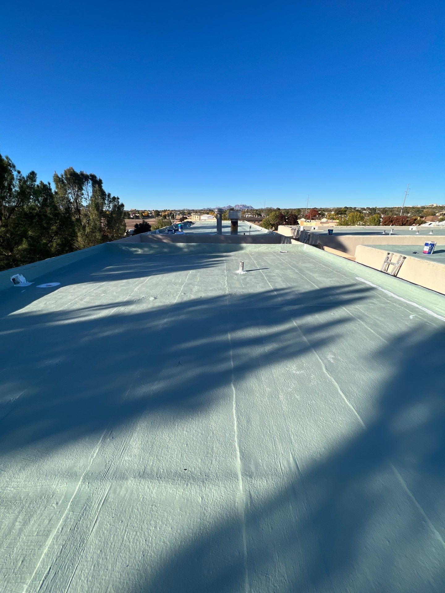 Las Palmas Apartments by SPF Services 