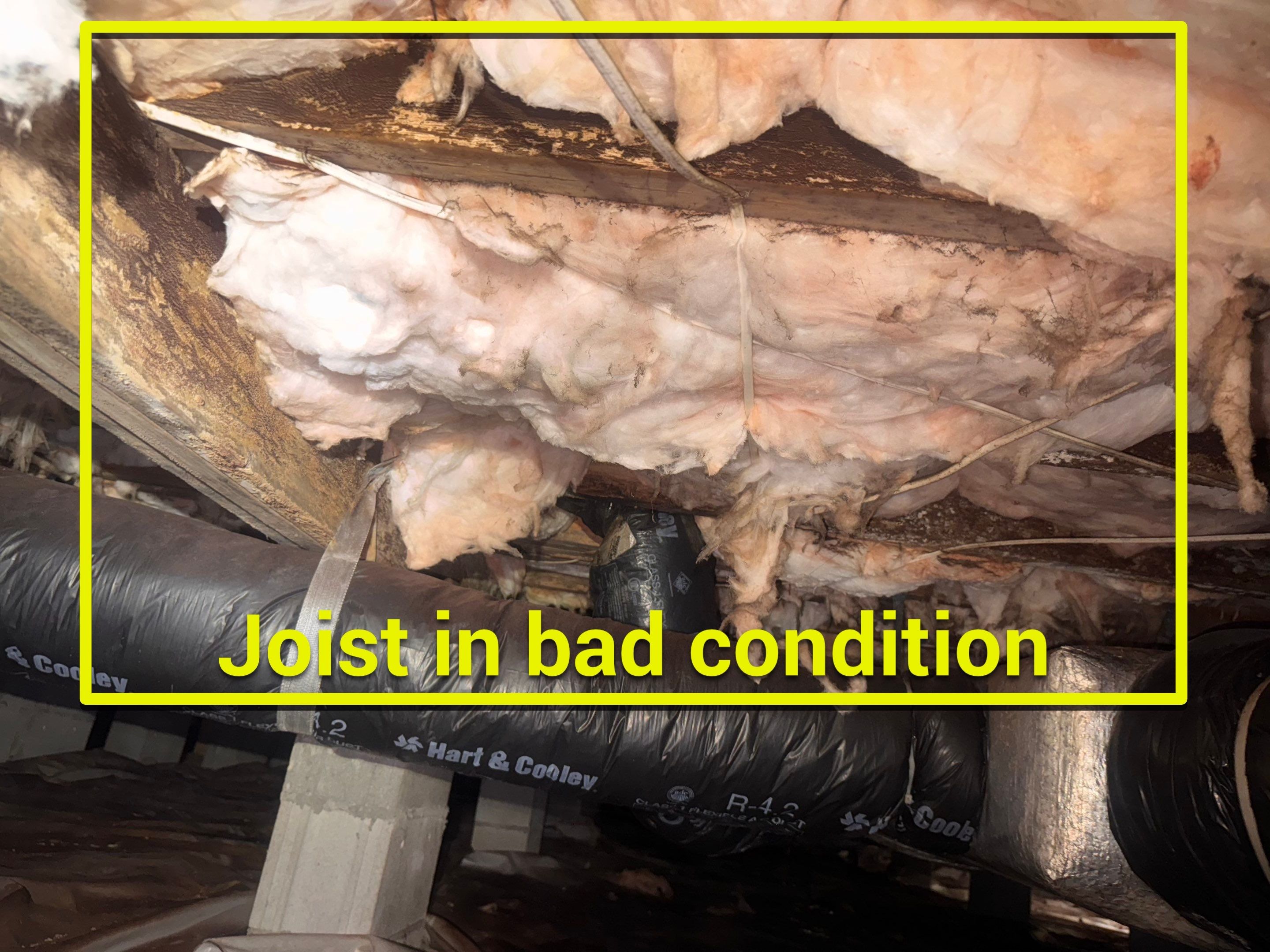 Moisture Barrier, Mold Clean, Structural Repair, Dehumidifier, R19 Insulation. by Impact Crawlspace