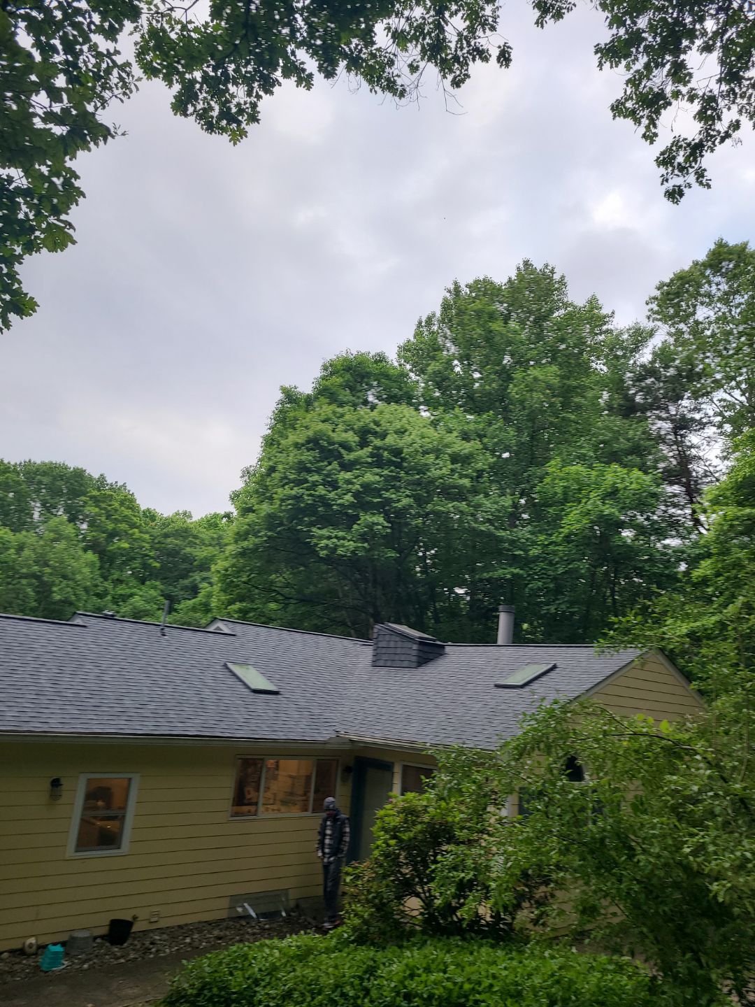 Oakton: Roof Replacement With CertainTeed Landmark Designer Shingles in Pewter by RM Banning, Inc.
