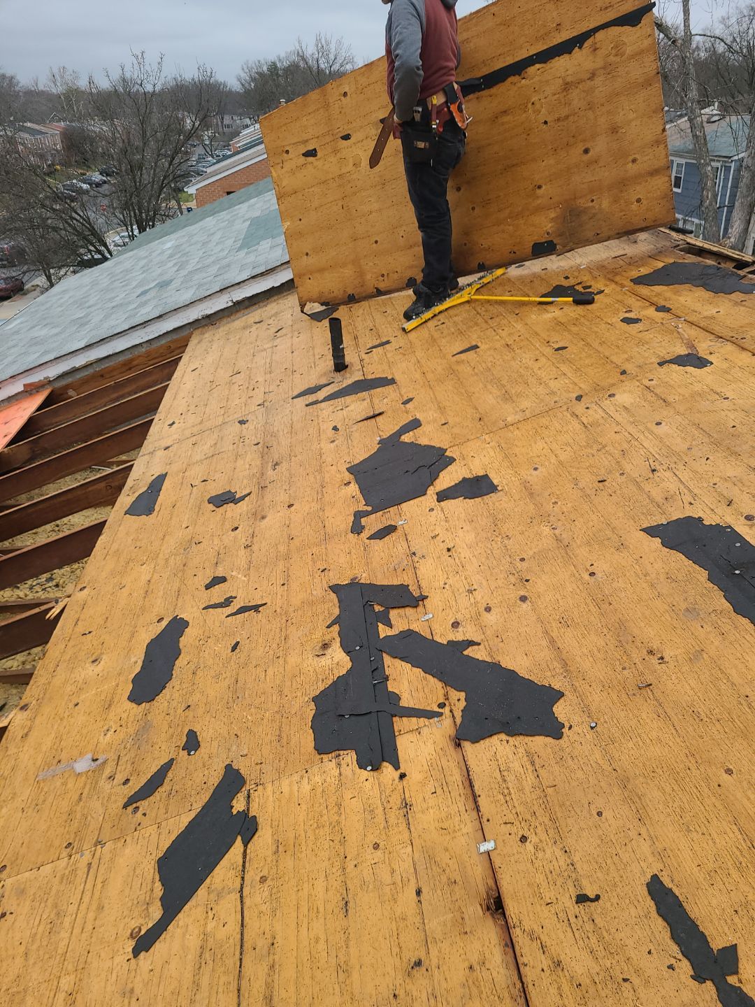 Alexandria Certainteed Landmark Roof in Colonial Slate by RM Banning, Inc.