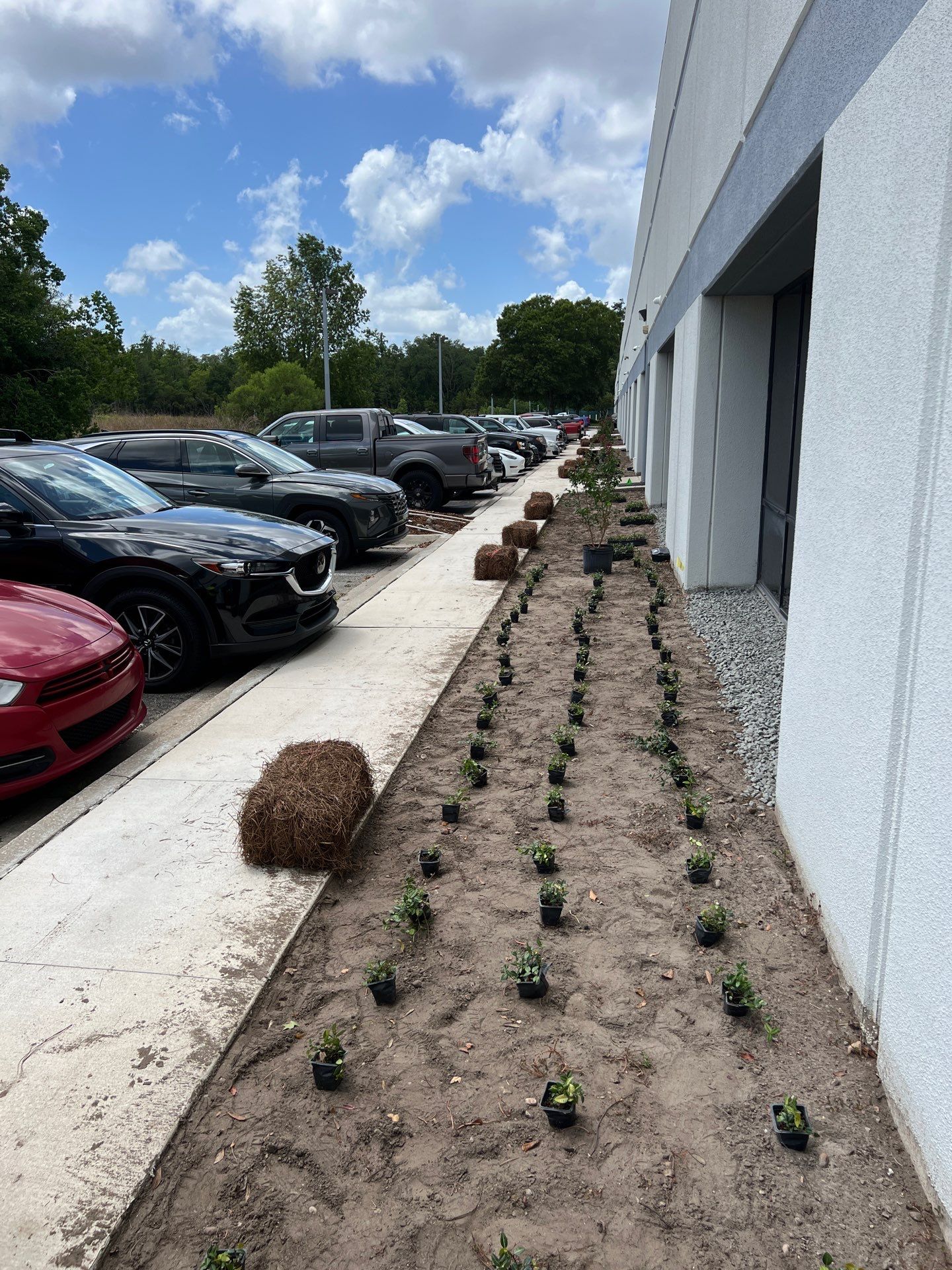 Large Landscape Project | Center Point by ProGreen Services