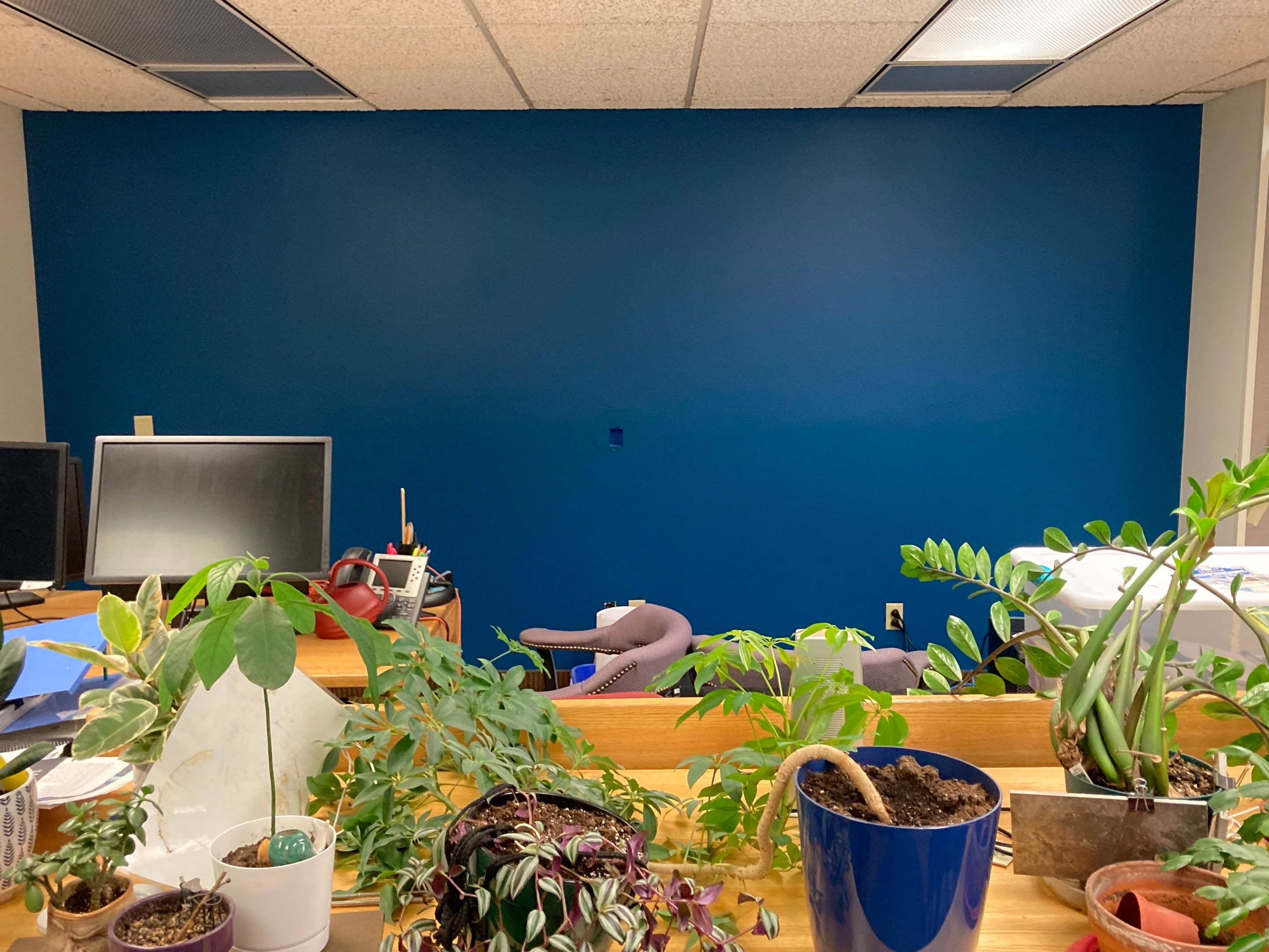 Amazing Workspace Transformation by Midnight Sun Painting