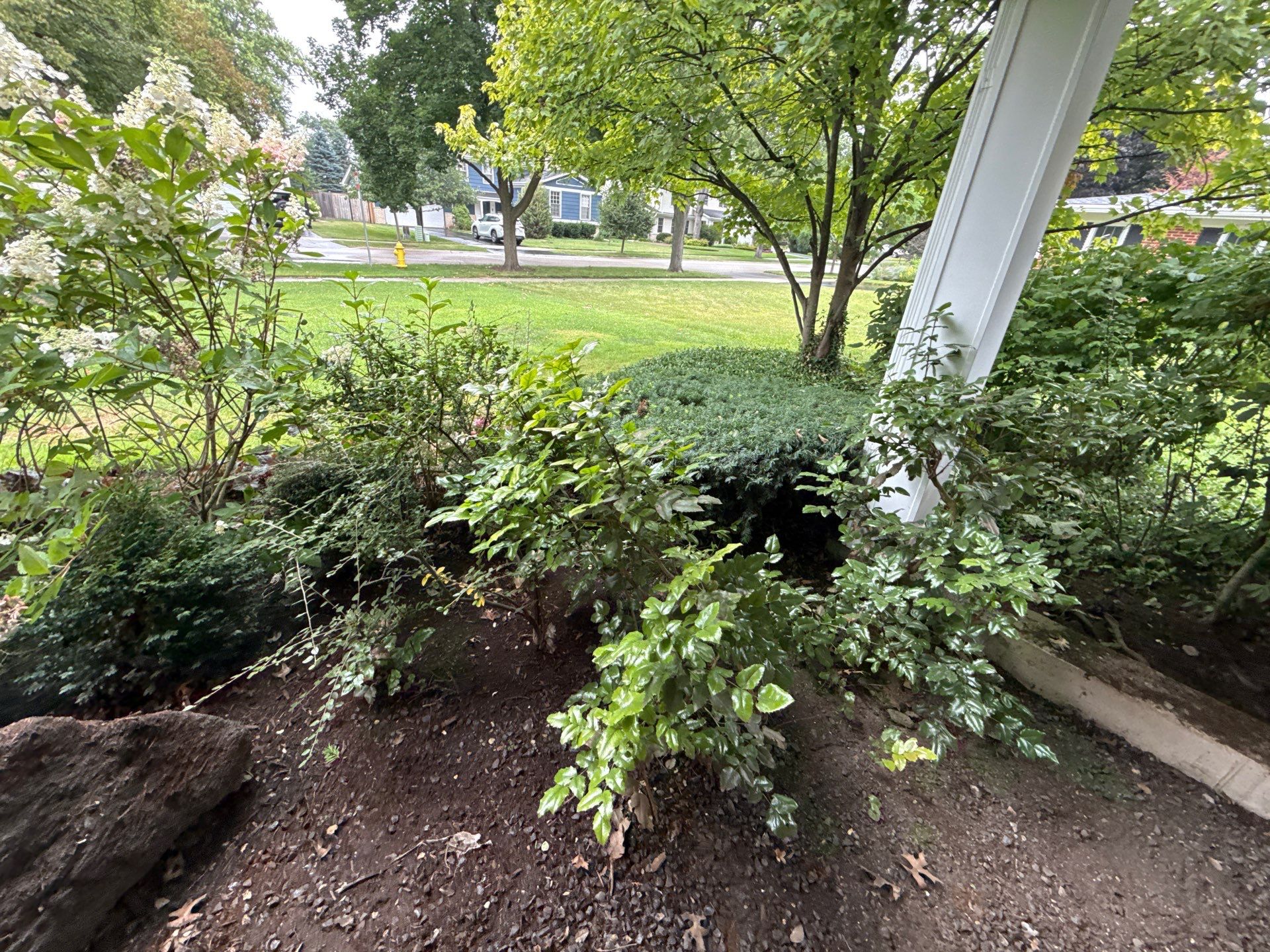 Christopher B. - Glenview, IL by A&N