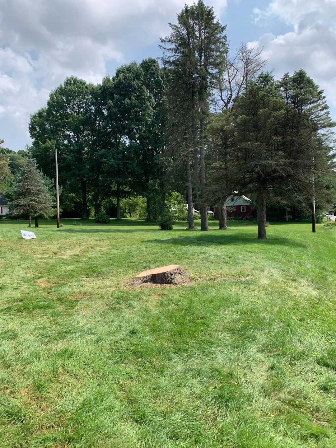 Tree Trimming & Tree Removal in Akron Ohio by Mike Jones & Sons Tree Service LLC 