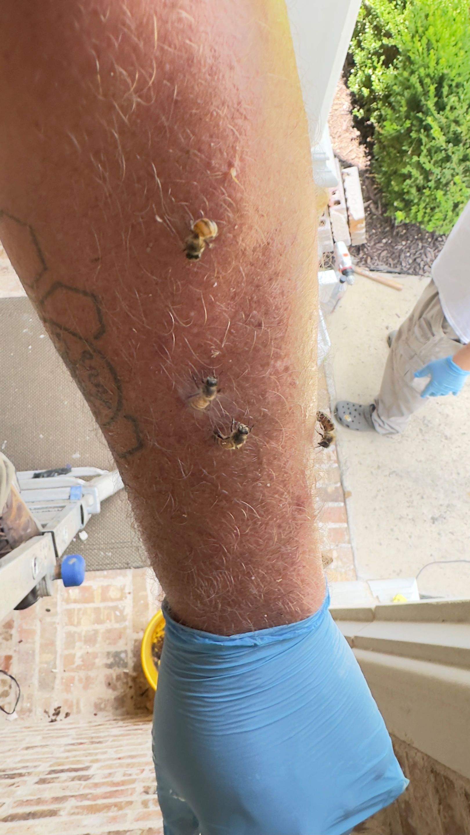 Brick Bees by Rockwall Honey Bee Company