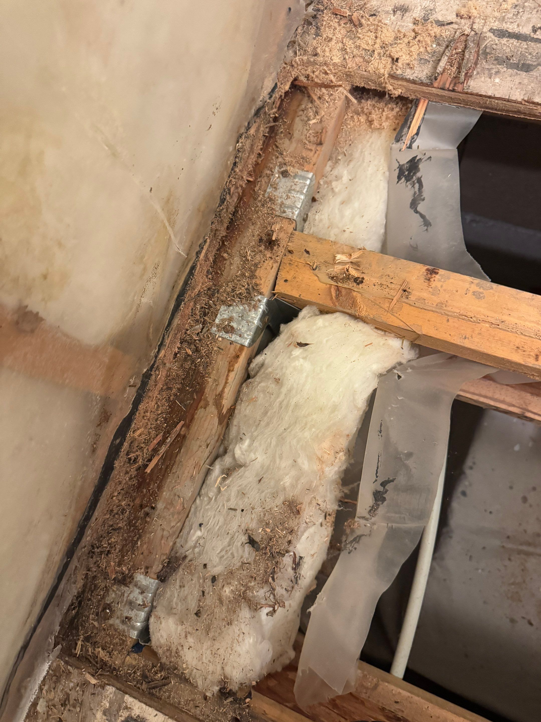 High-End Laundry Room Renovation and Restoration in Vancouver by YVR Construction Group