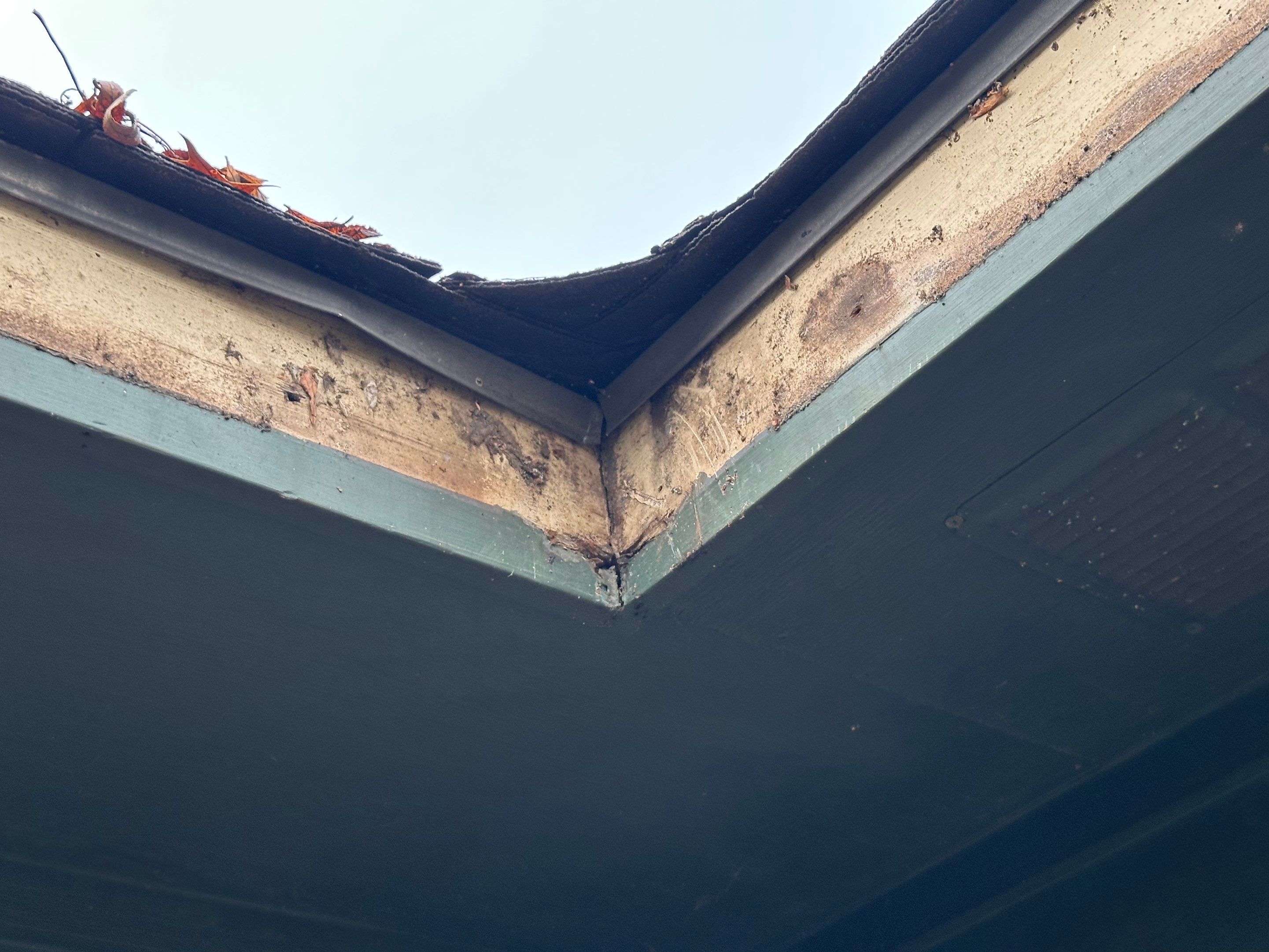 Lindale, TX Exterior Painting Project by Quality Coats Painting