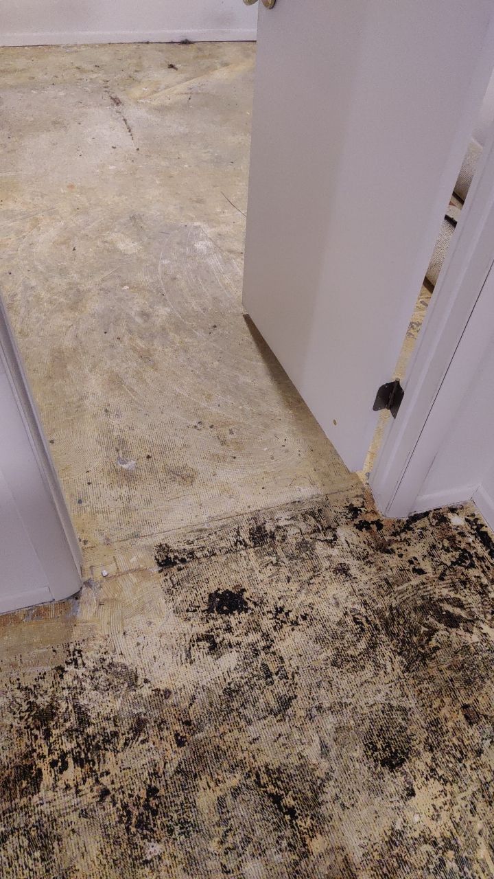 Water Damage by Accountable Home Services