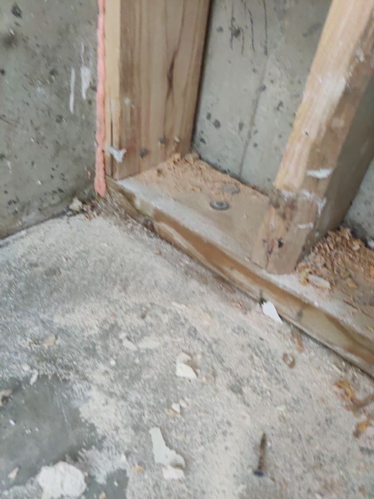 Mold Remediation in Garage by Accountable Home Services