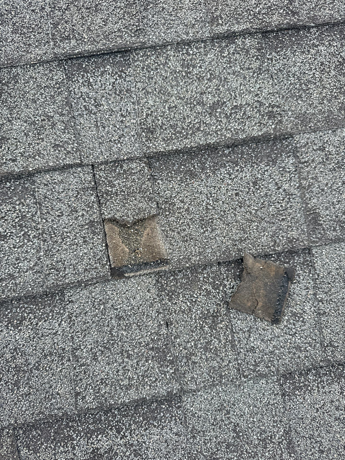 Roof, Fence, Gutters, & Exterior Paint Restoration Covered By Insurance! by Majesty Construction