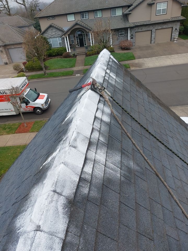 Roof Cleaning  using Moss Treatment  by BEST Roofing & Waterproofing