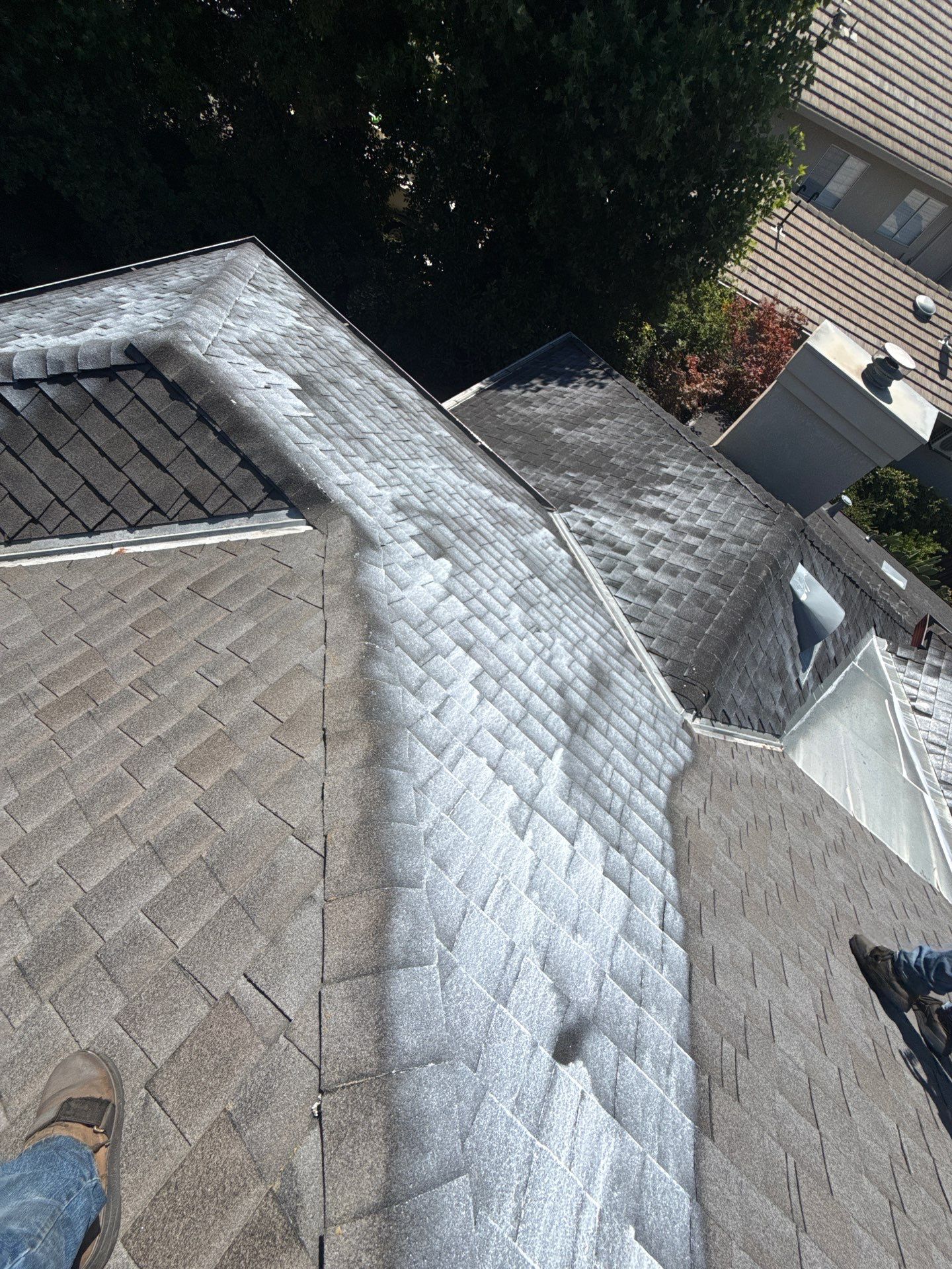Roof Rejuvenation using Roof Maxx Treatment by Roof Maxx of Folsom