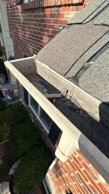 Turtle Shell gutter protection installation in St. Charles, IL 60174, photograph 28