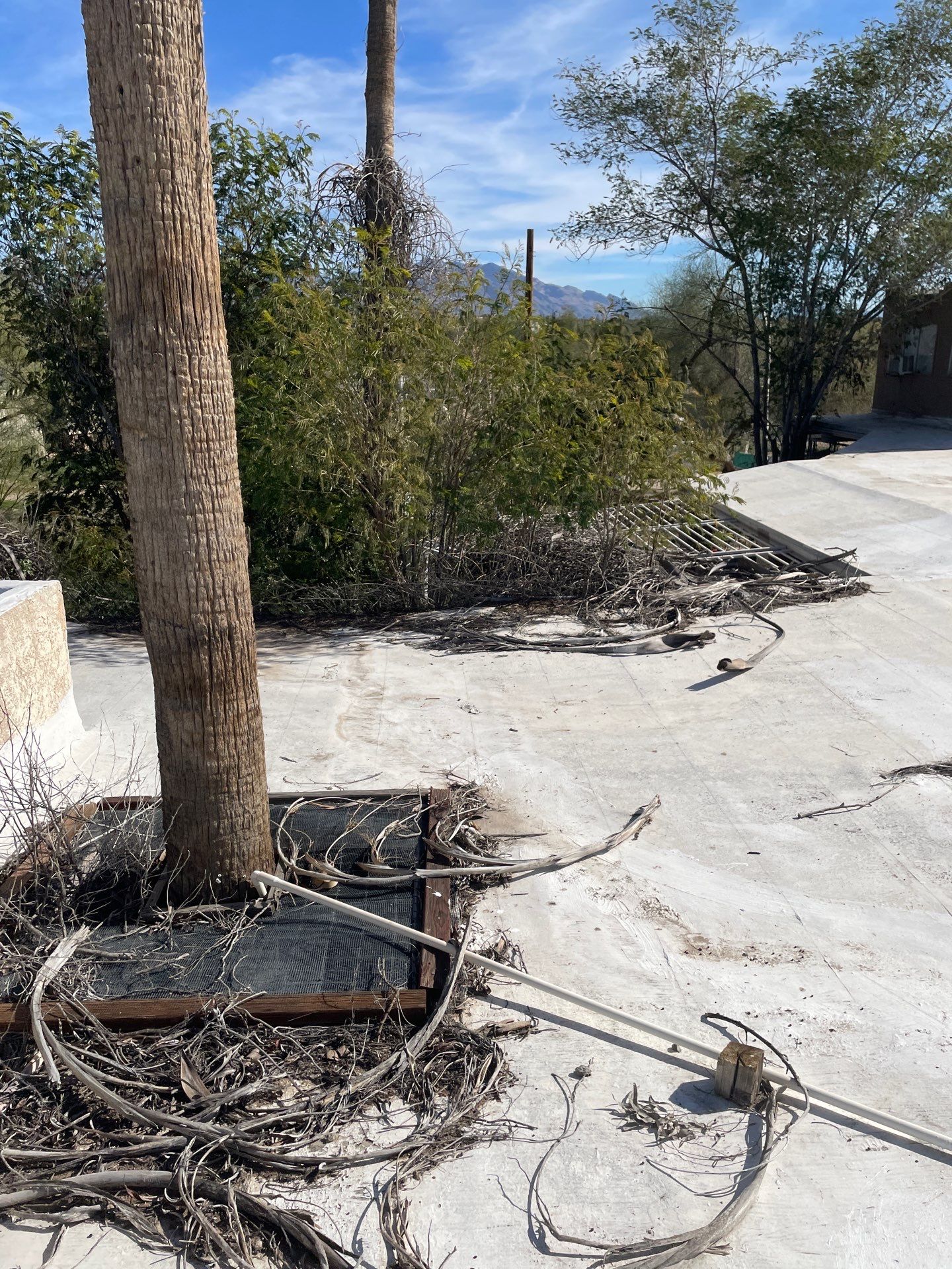 Hope Animal Shelter by West Coast Roofing AZ