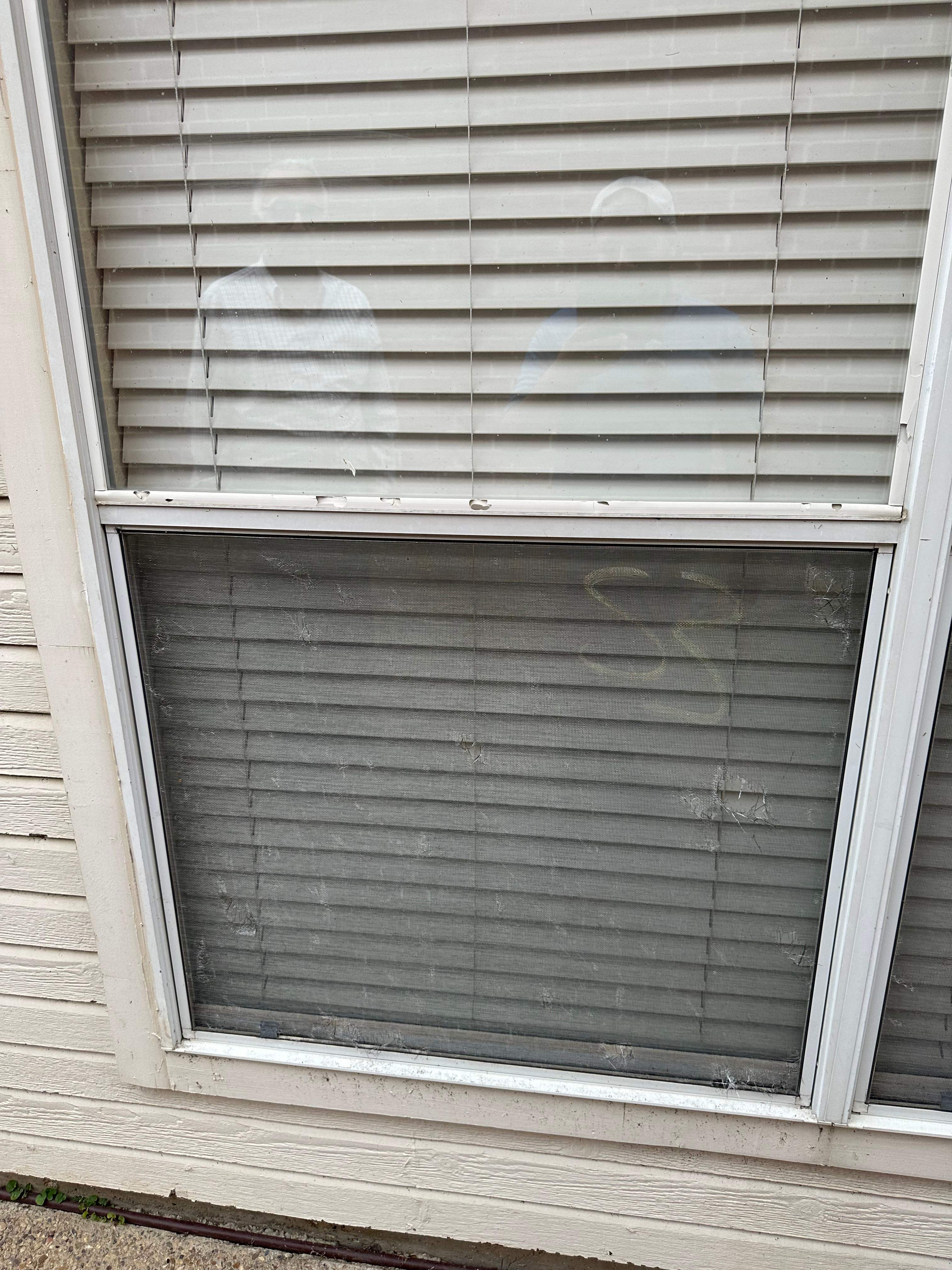 Full Property Restoration by Eminent Roofing & Auto Hail Repair