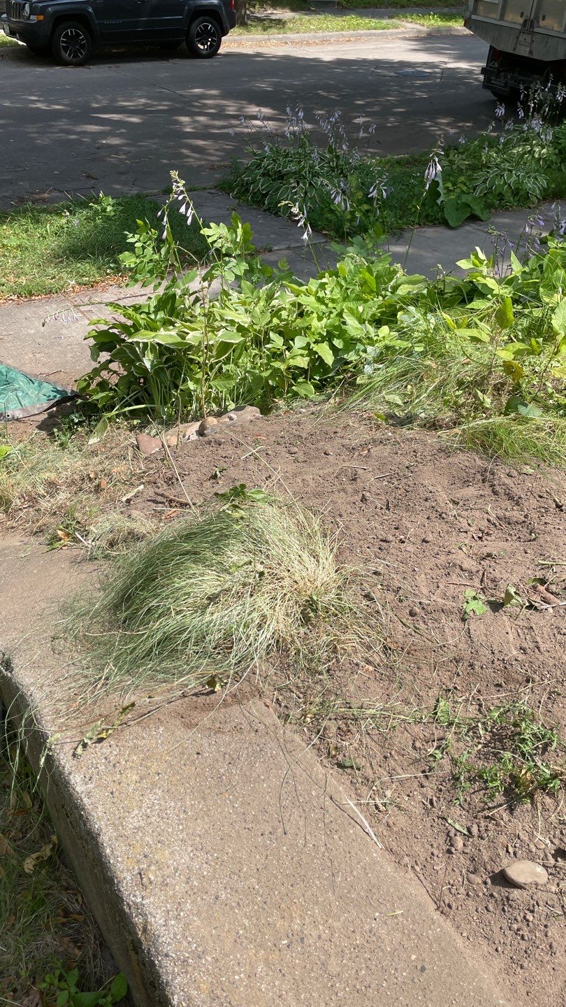 Tara’s Corner Drainage Fix by Waterproofing Northeast