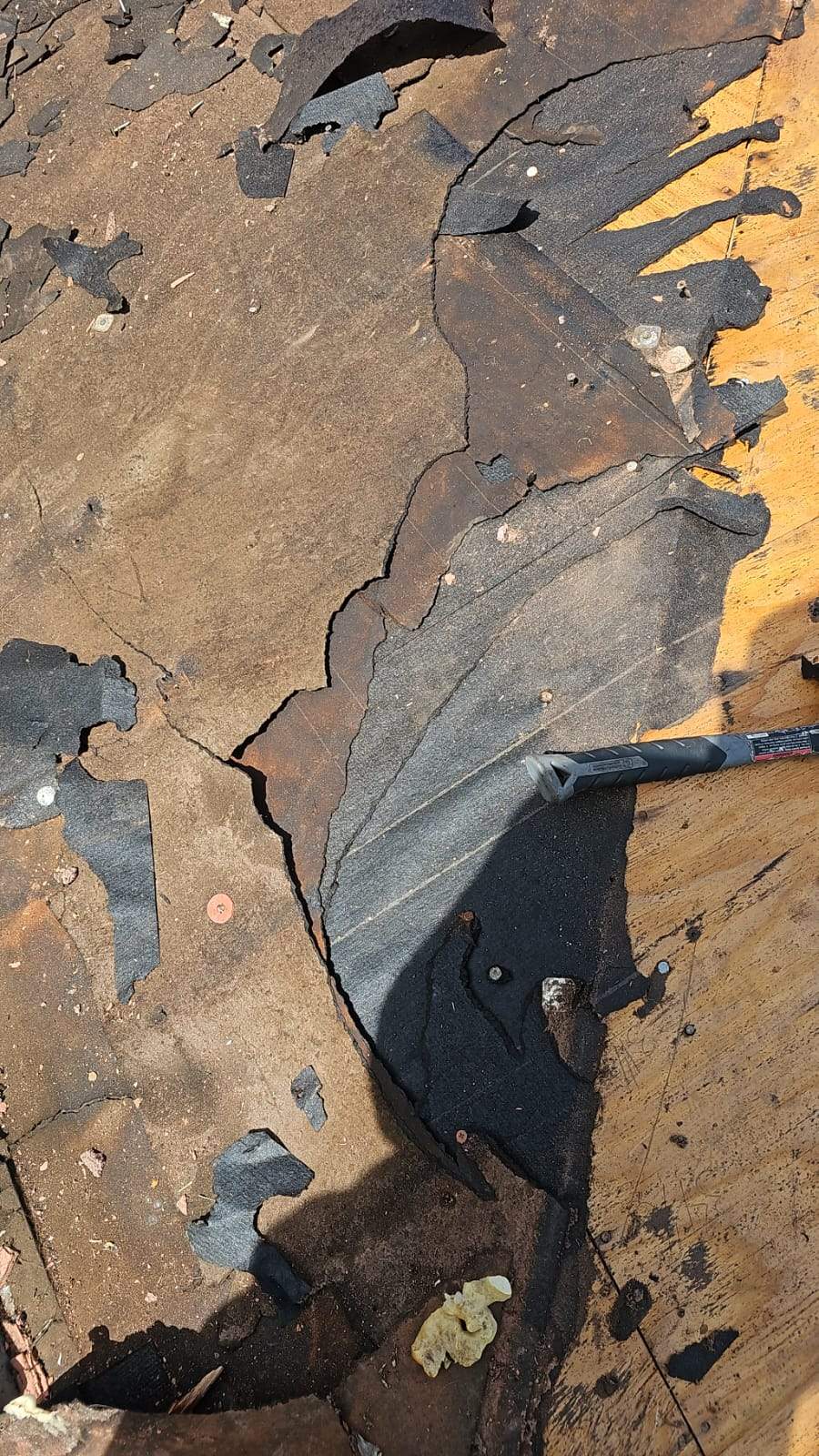 Roof Replacement- Los Angeles, CA 90065 by Epic Roof Replacement