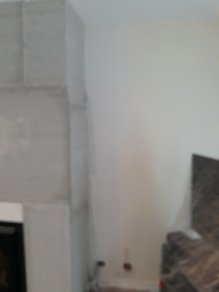 Home Renovation - Bucktown by Punch List