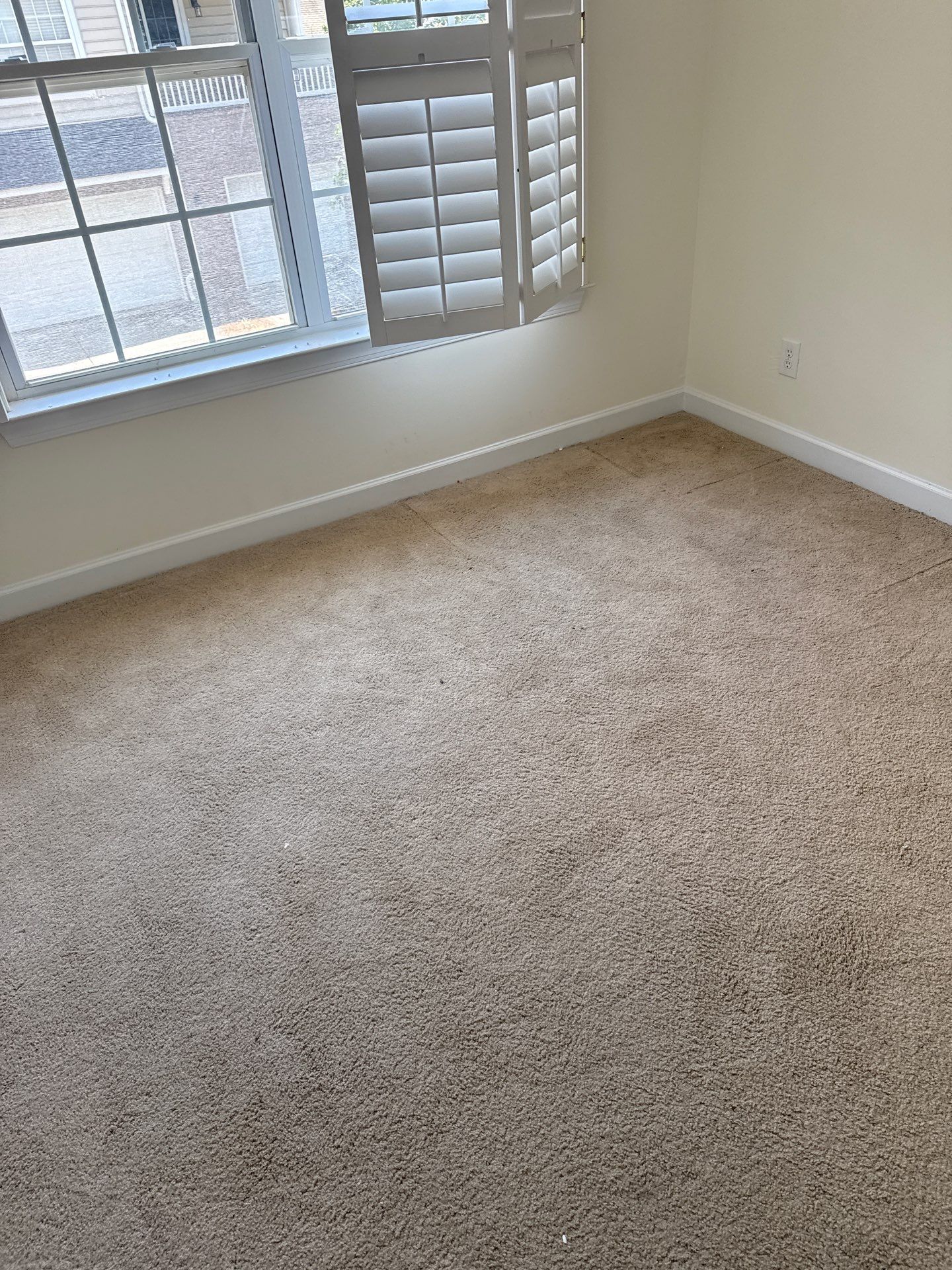 Project in Charlotte by Badger Hauling