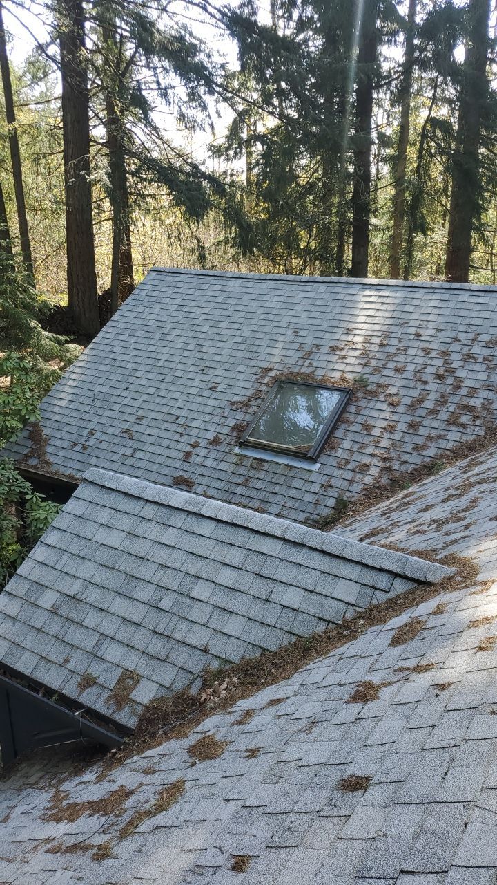 Roof Treatment using Surfactant and Biocide by Willamette Outdoor Wash LLC