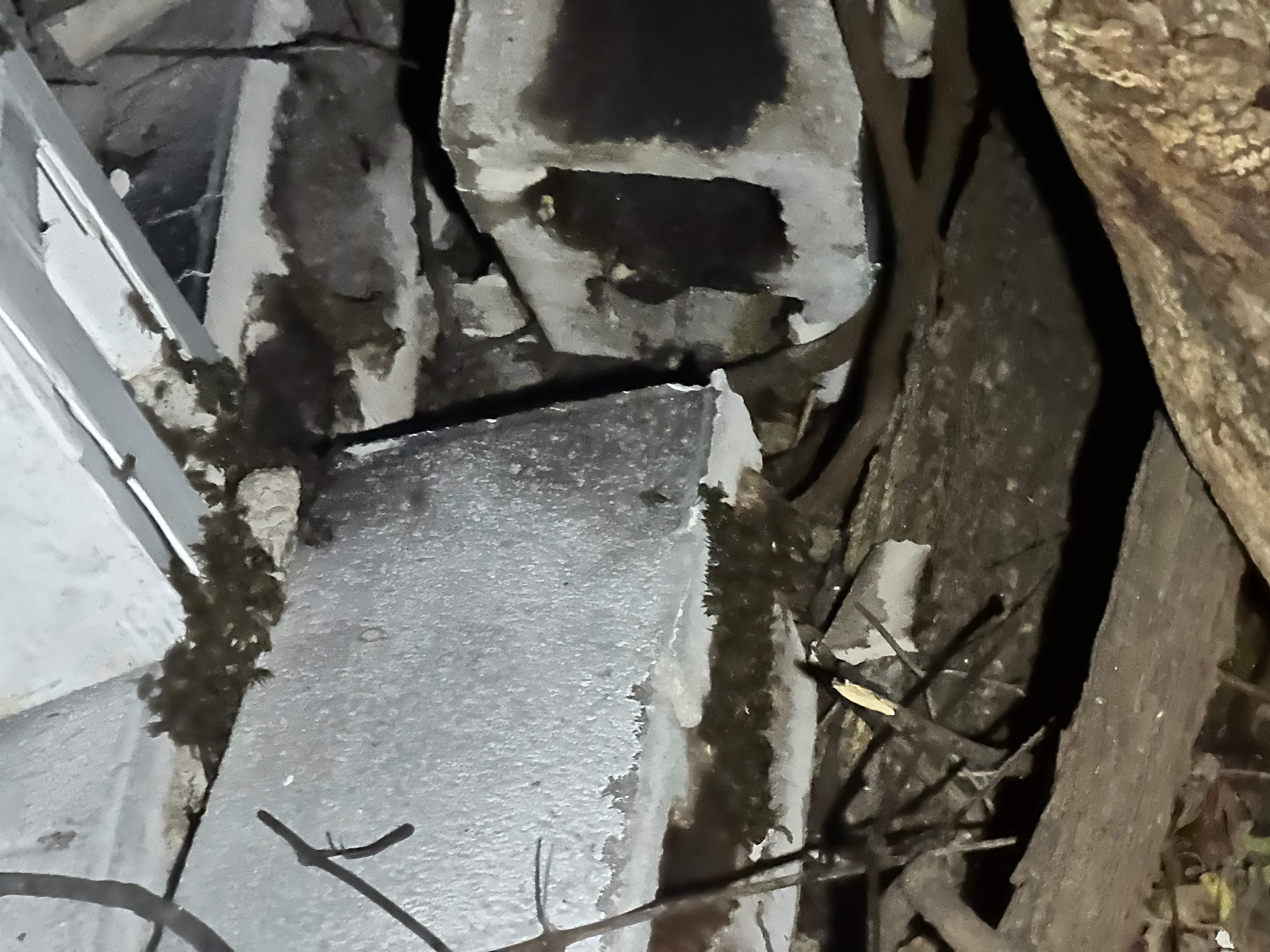 Demoed Cinderblock Wall by Rockwall Honey Bee Company