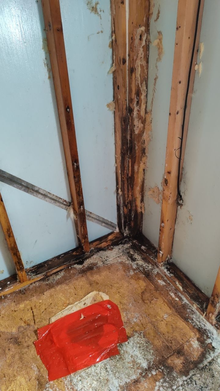 Water Damage and Mold Remediation by Accountable Home Services