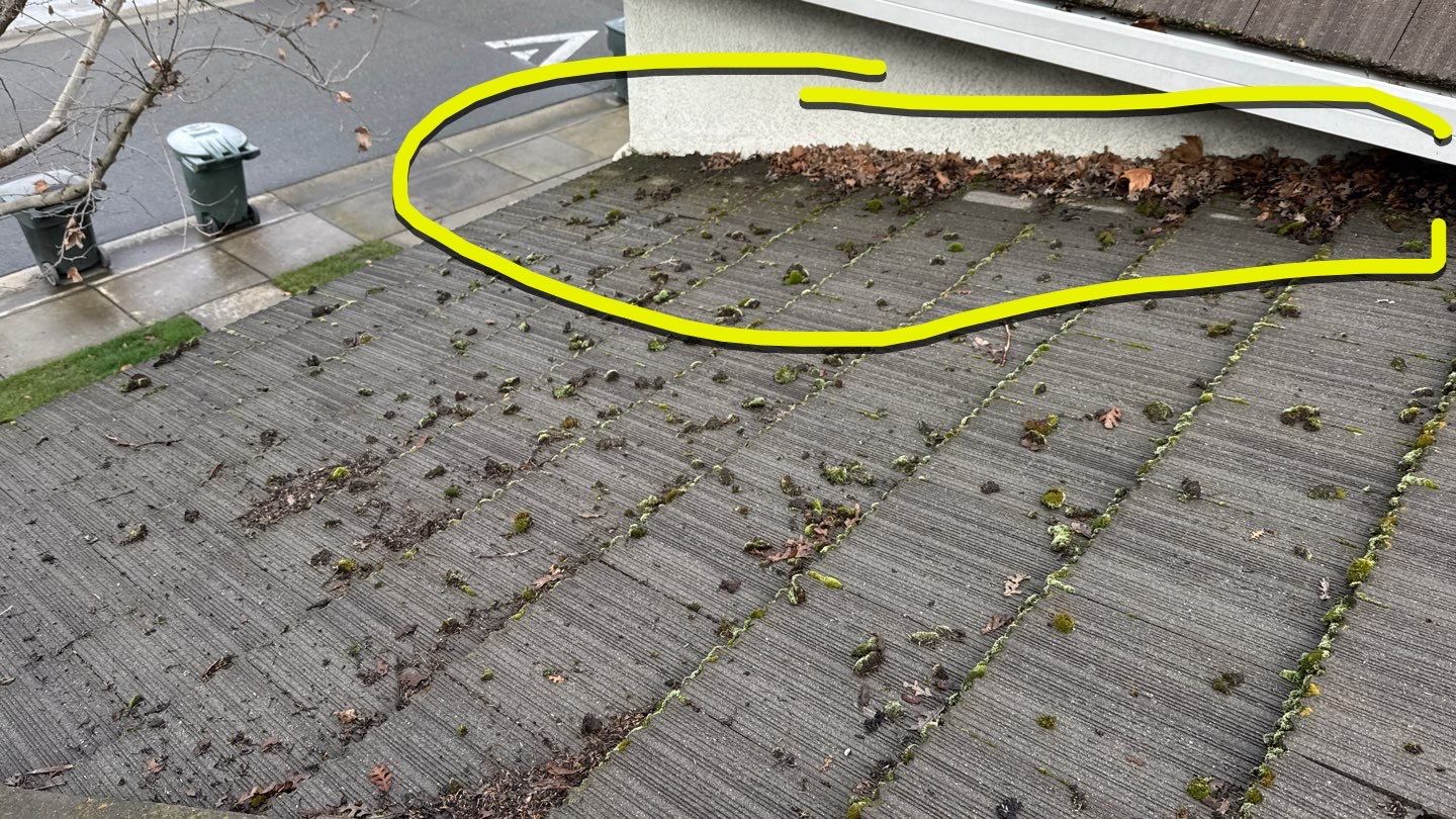 Project by NuLead Construction Inc by NuLead Construction Inc