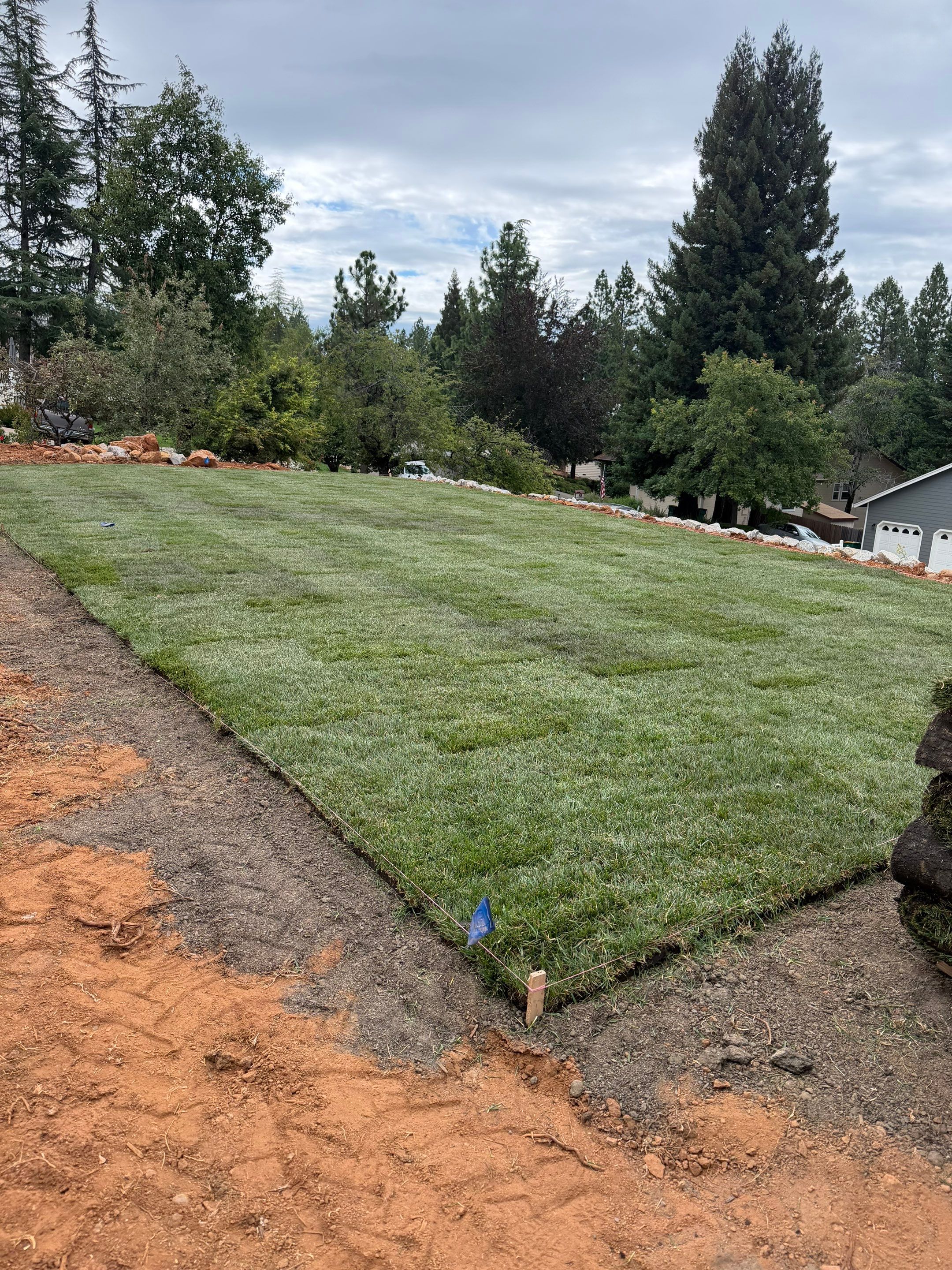 Project in Camino by A - G Sod Farms