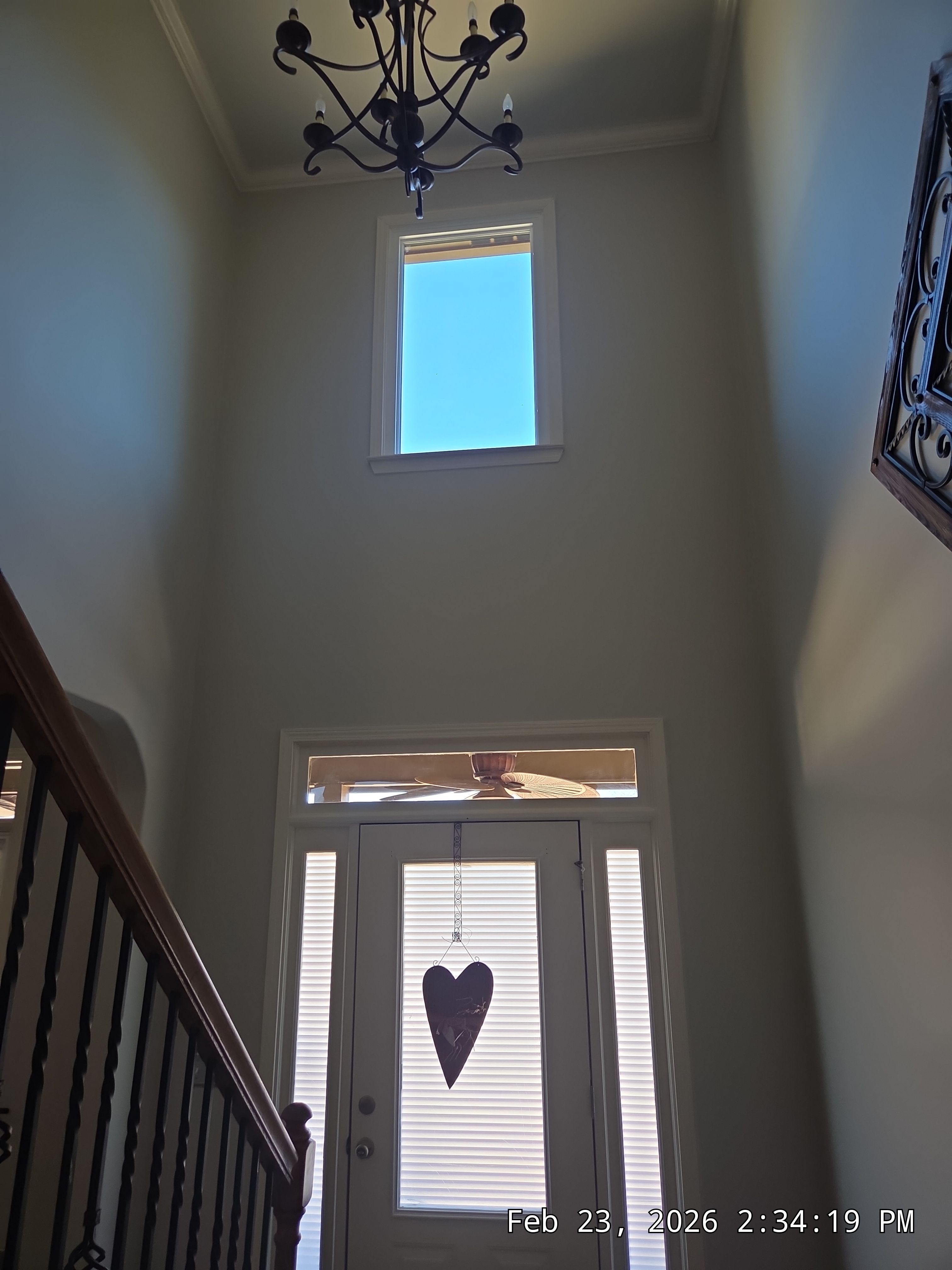 Davis Project in Helena by The Window Source