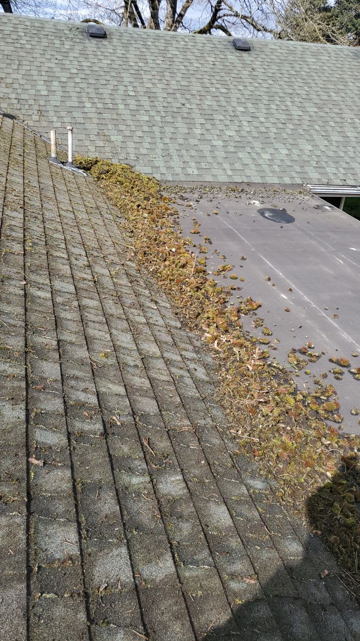 Roof Cleaning Moss Treatment by Willamette Outdoor Wash LLC
