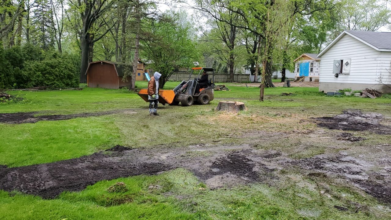 Tree Removal using Tree Removal by Mike Jones & Sons Tree Service LLC 