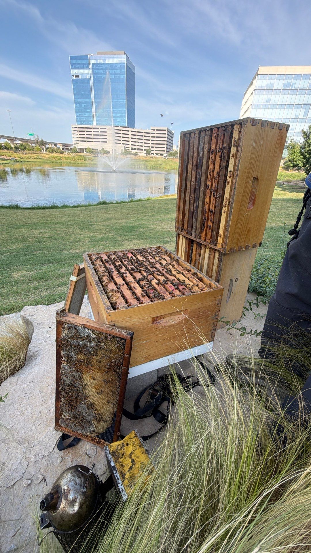 Corporate HQ by Rockwall Honey Bee Company