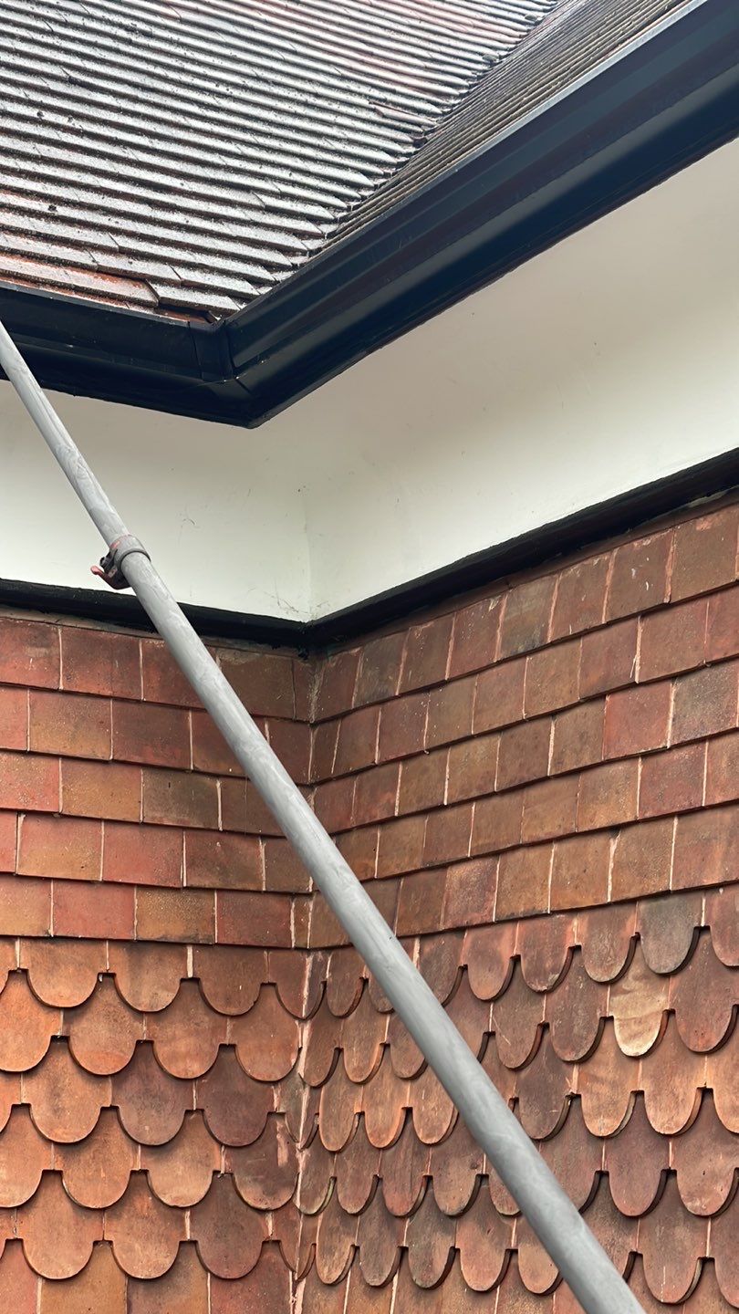 Exterior Clean - Roof - Pool  using Mosmatic FSC and Biocide by Ges Exterior Cleaning ltd