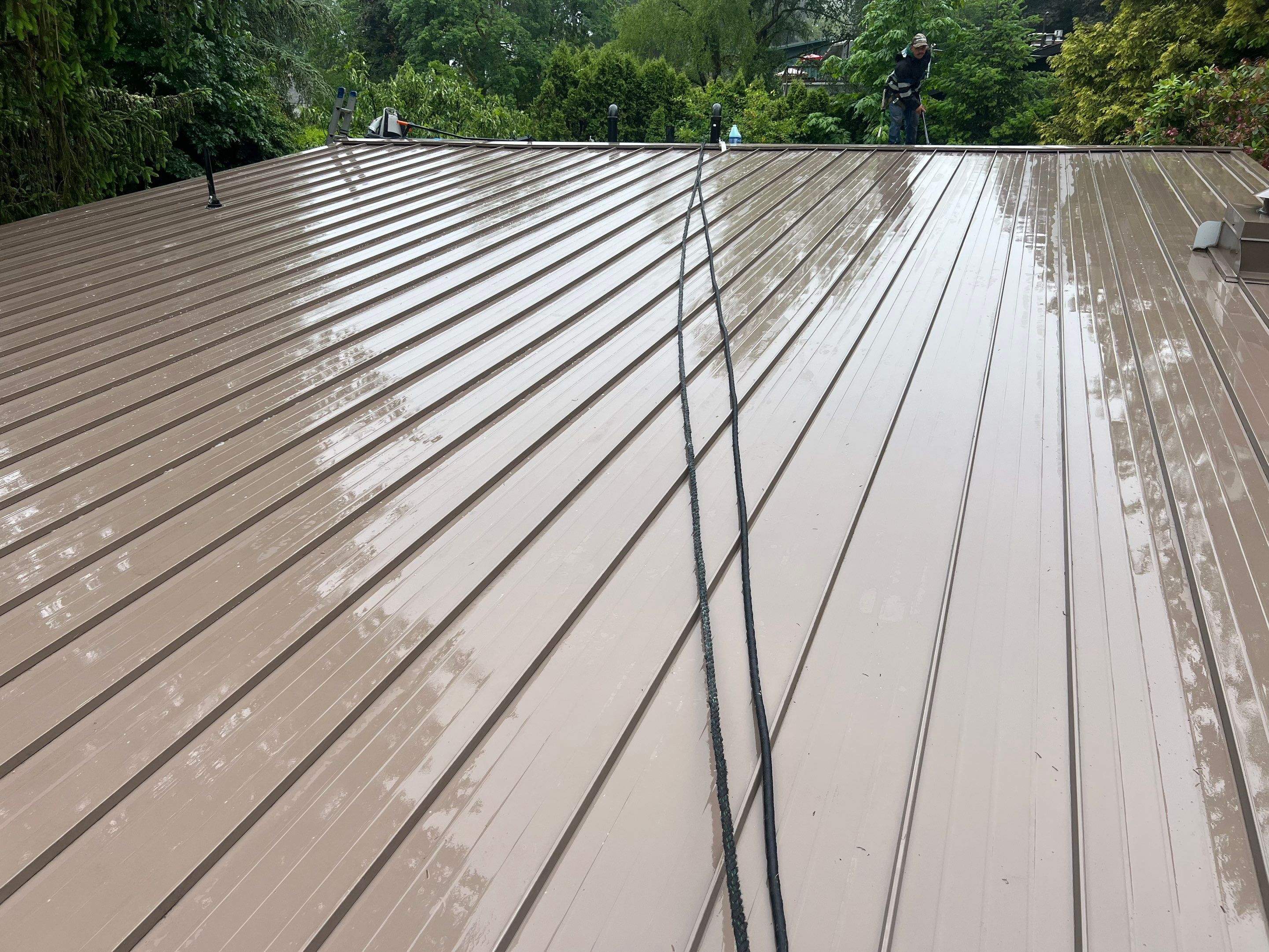 Roof Cleaning in Portland by Prodigy Roof Solutions