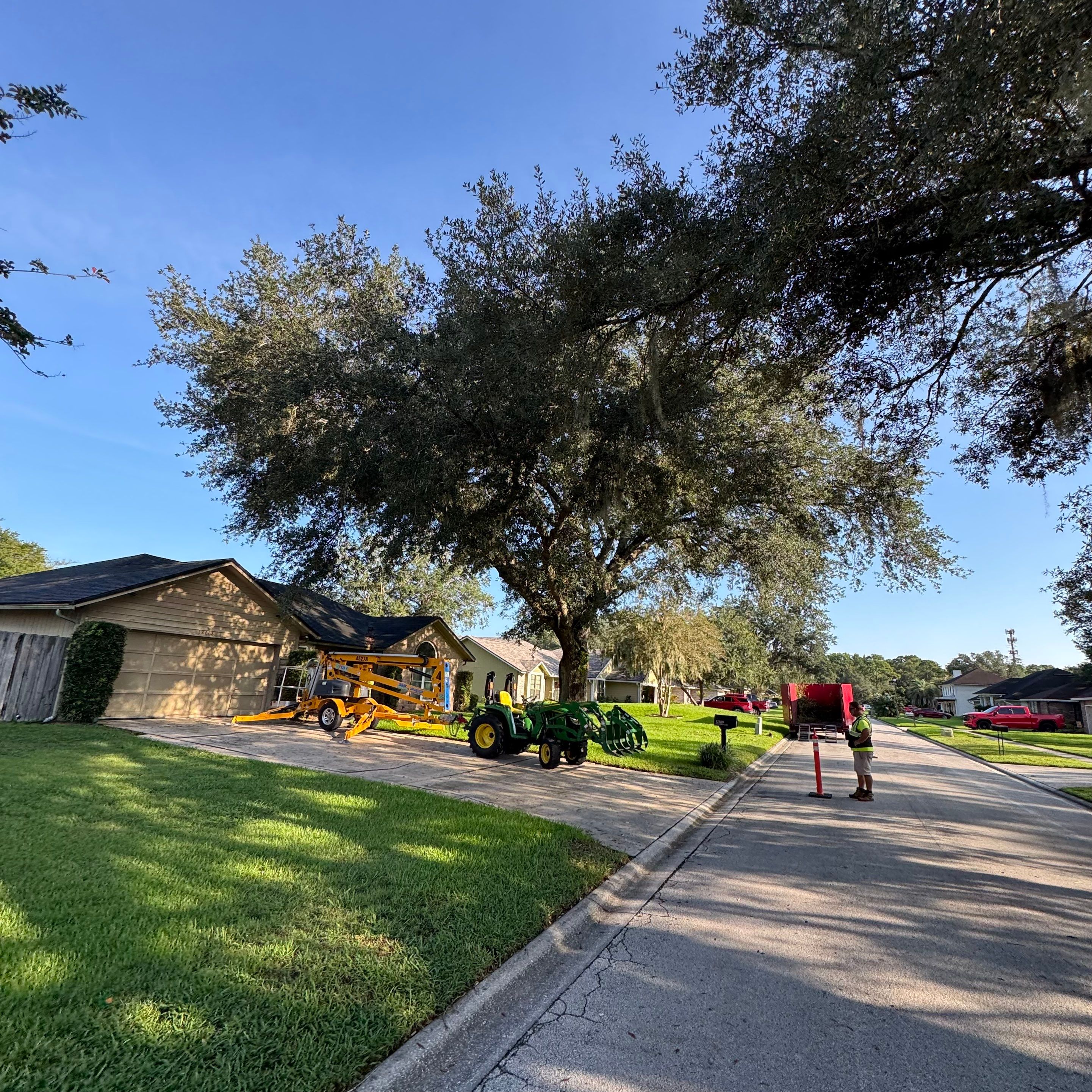 Residential | Tree Trimming  by ProGreen Services