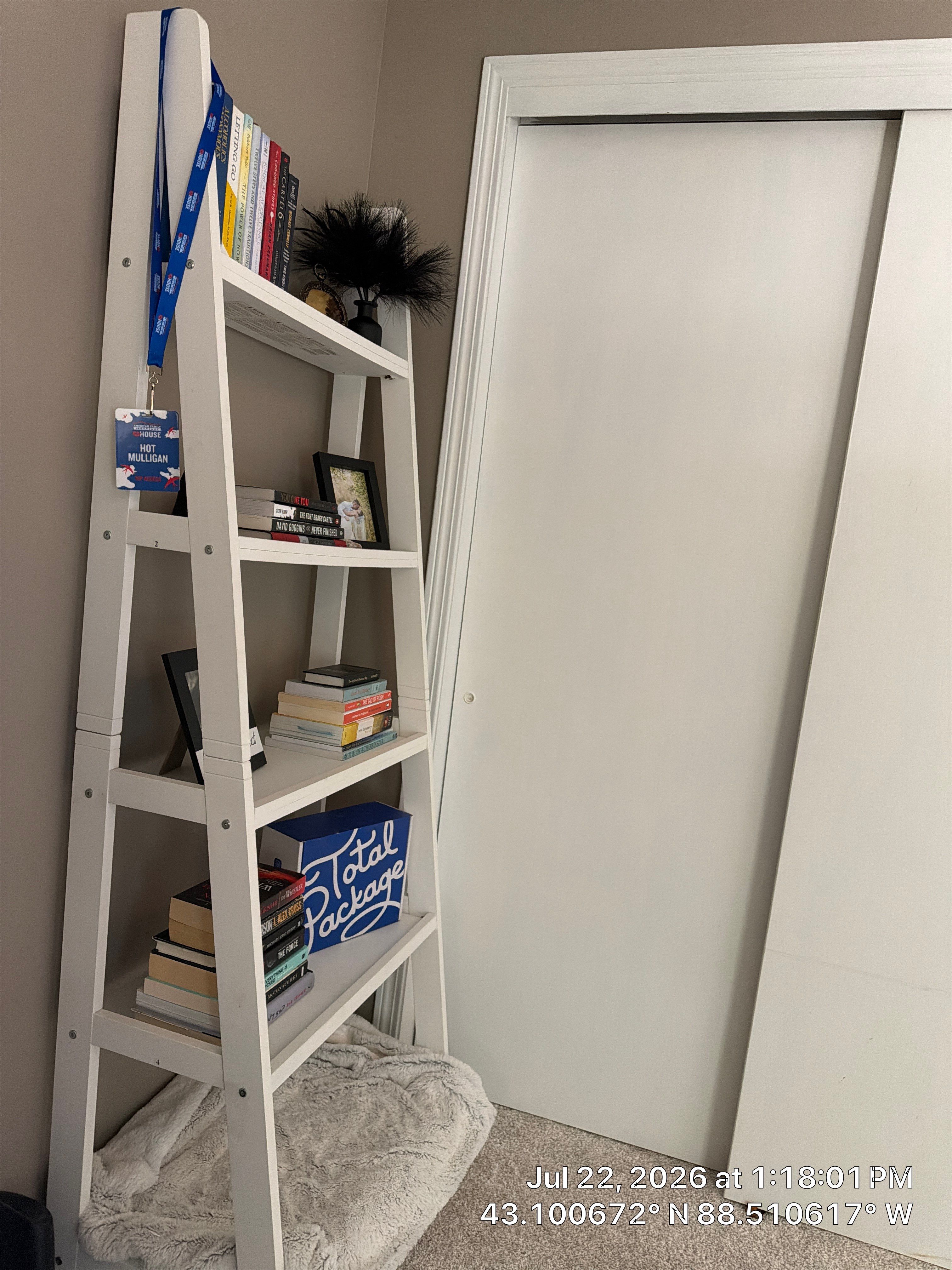 Sliding Closet Door Installation and Interior Painting in Oconomowoc by CompanyCam Sales Demo
