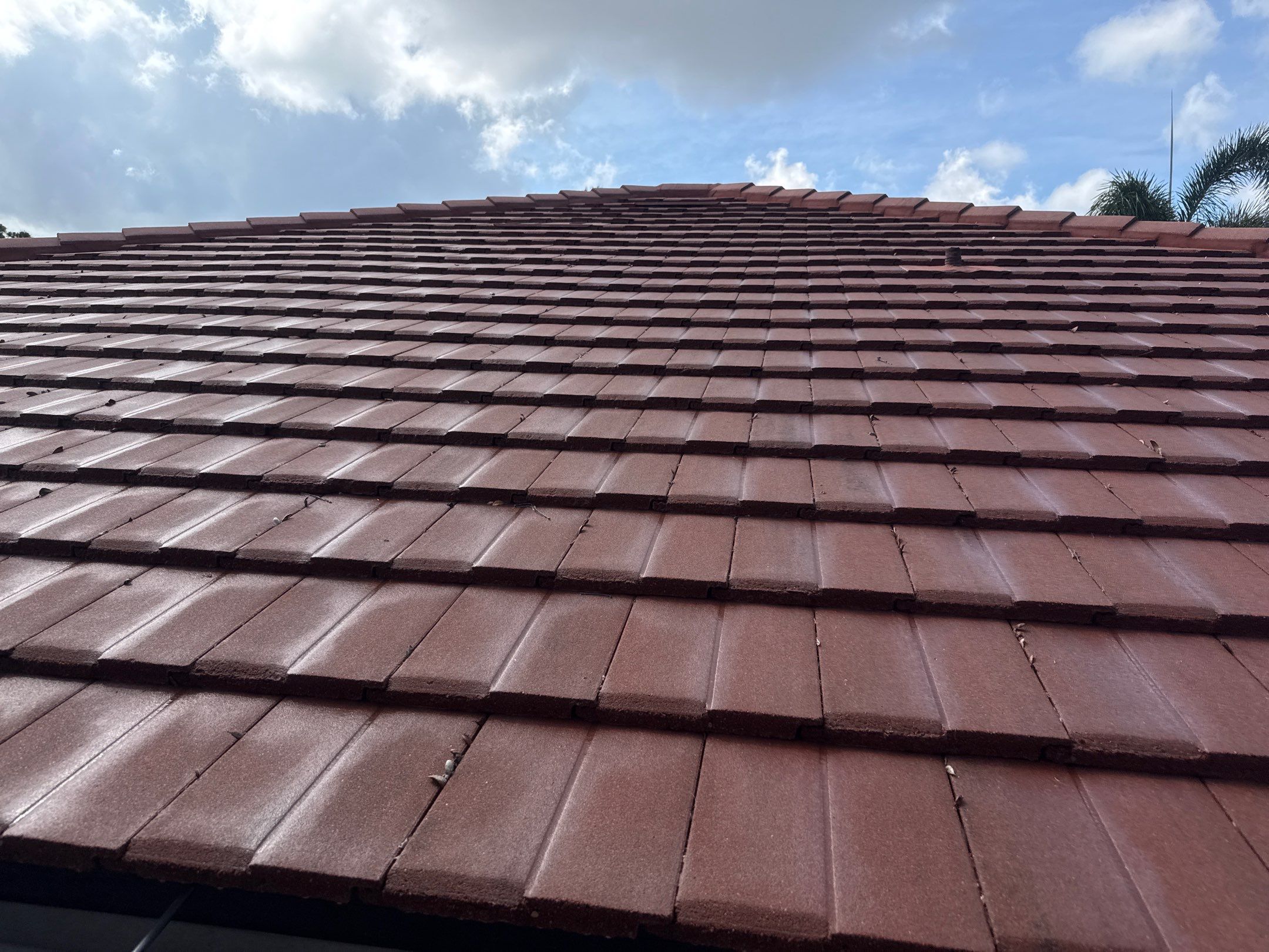 Tile Roof, Driveway & Patio Cleaning – Vivienda at Bradenton I by Sunshine AquaWash