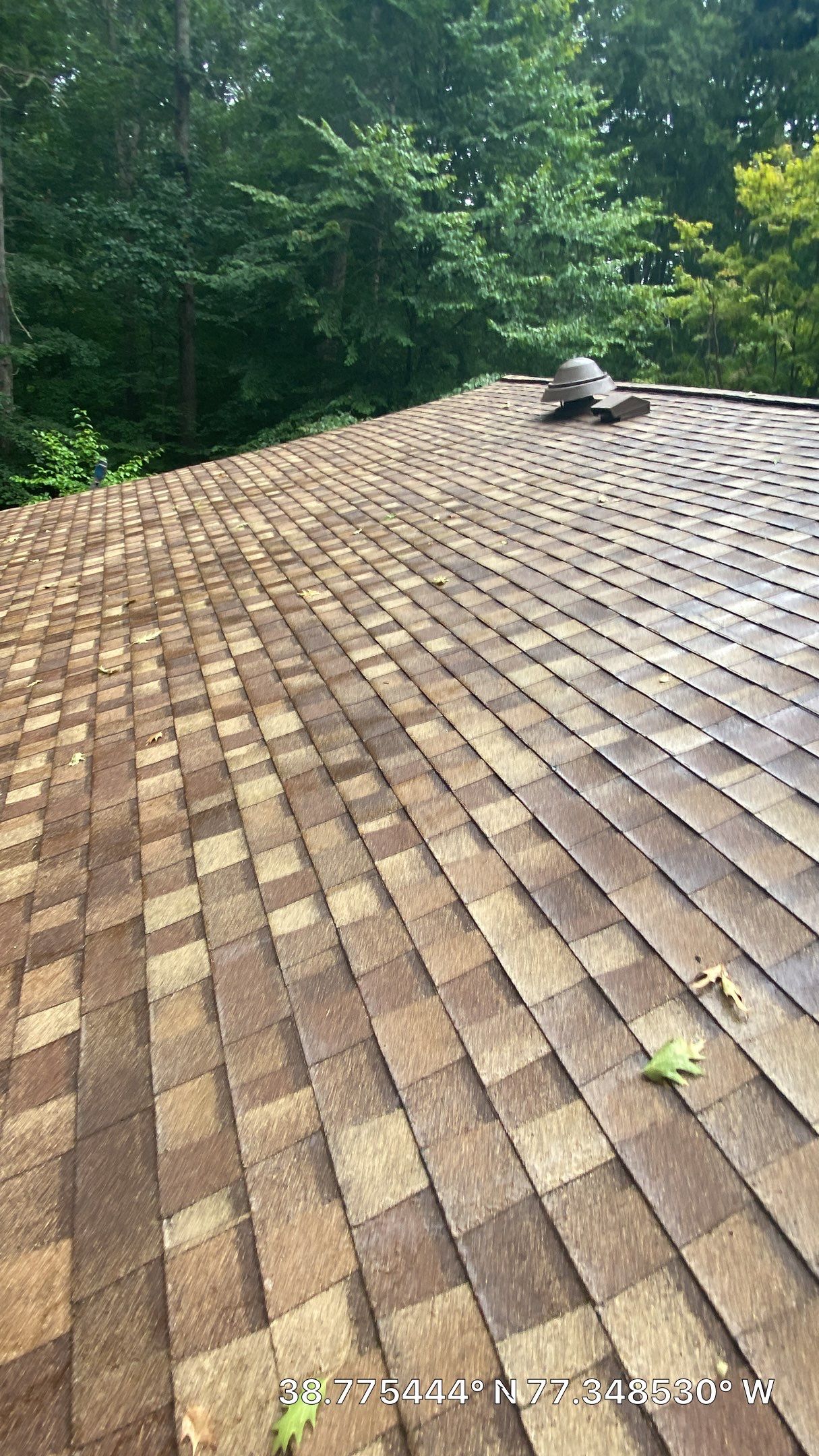 Fairfax Station: CertainTeed Landmark Pro Designer Shingles in Max Def Resawn Shake by RM Banning, Inc.