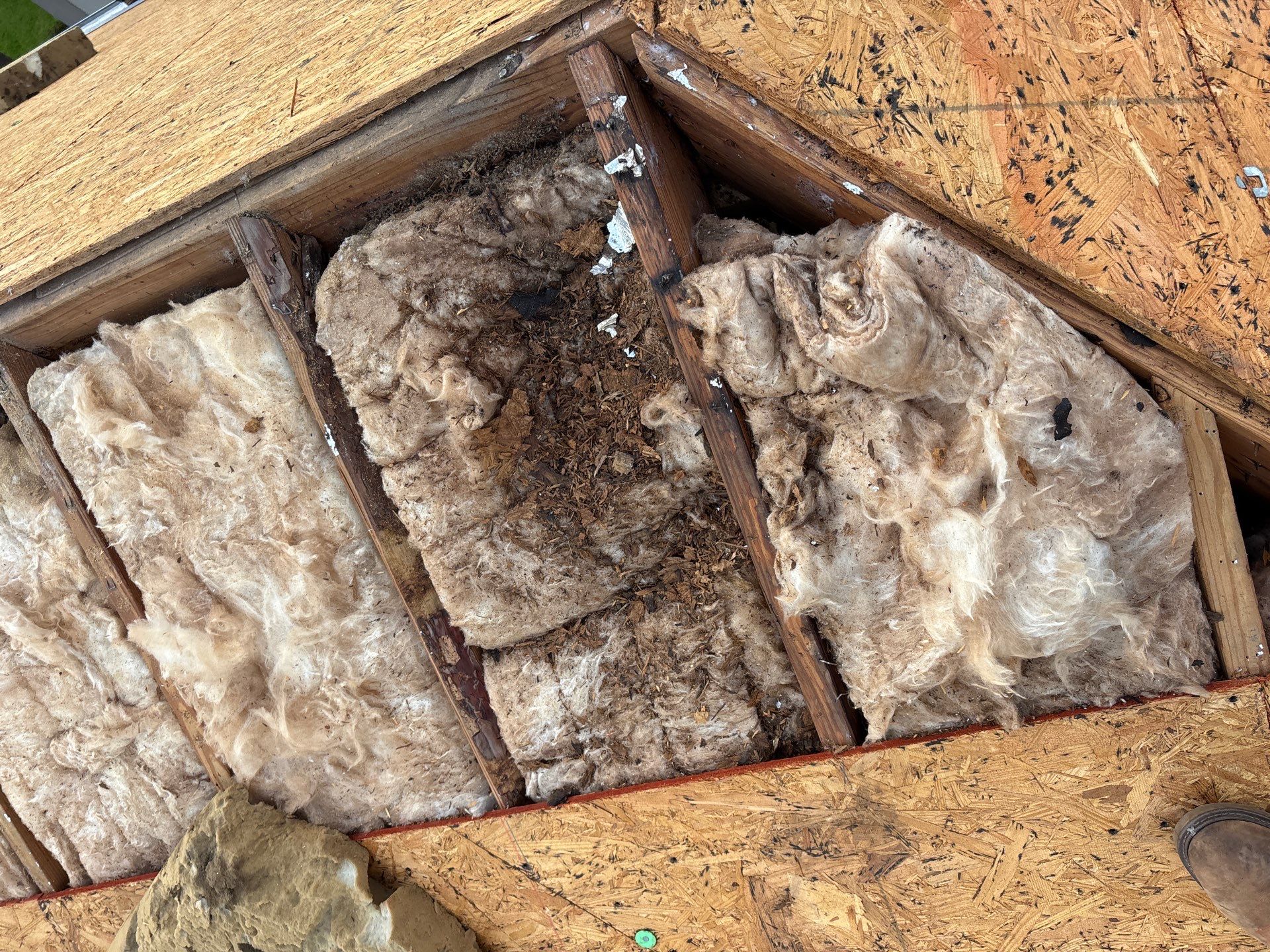 Roof Replacement Spring by Roof Repair Company