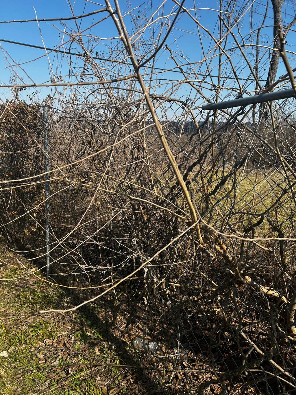 Chain Link Fence Repair and Custom Gate Installation – East St. Louis, IL by Legendary Services Company LLC.