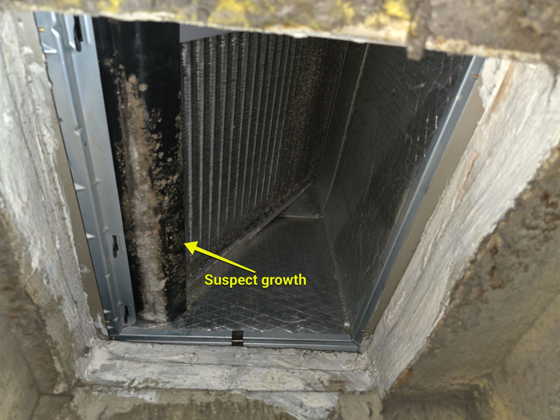 Duct Cleaning in Casselberry by Hygienic Air, Inc