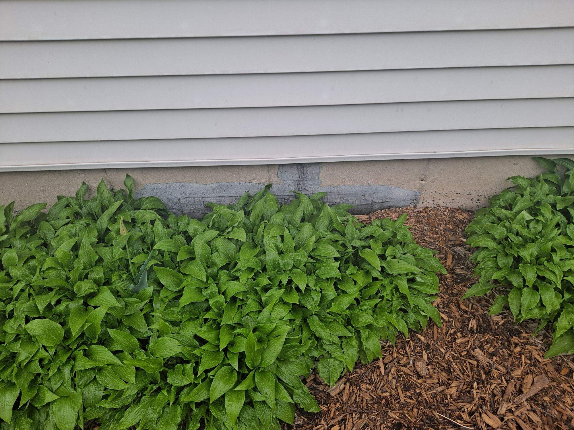 Foundation Inspection for Home Sale by Allied Water Services