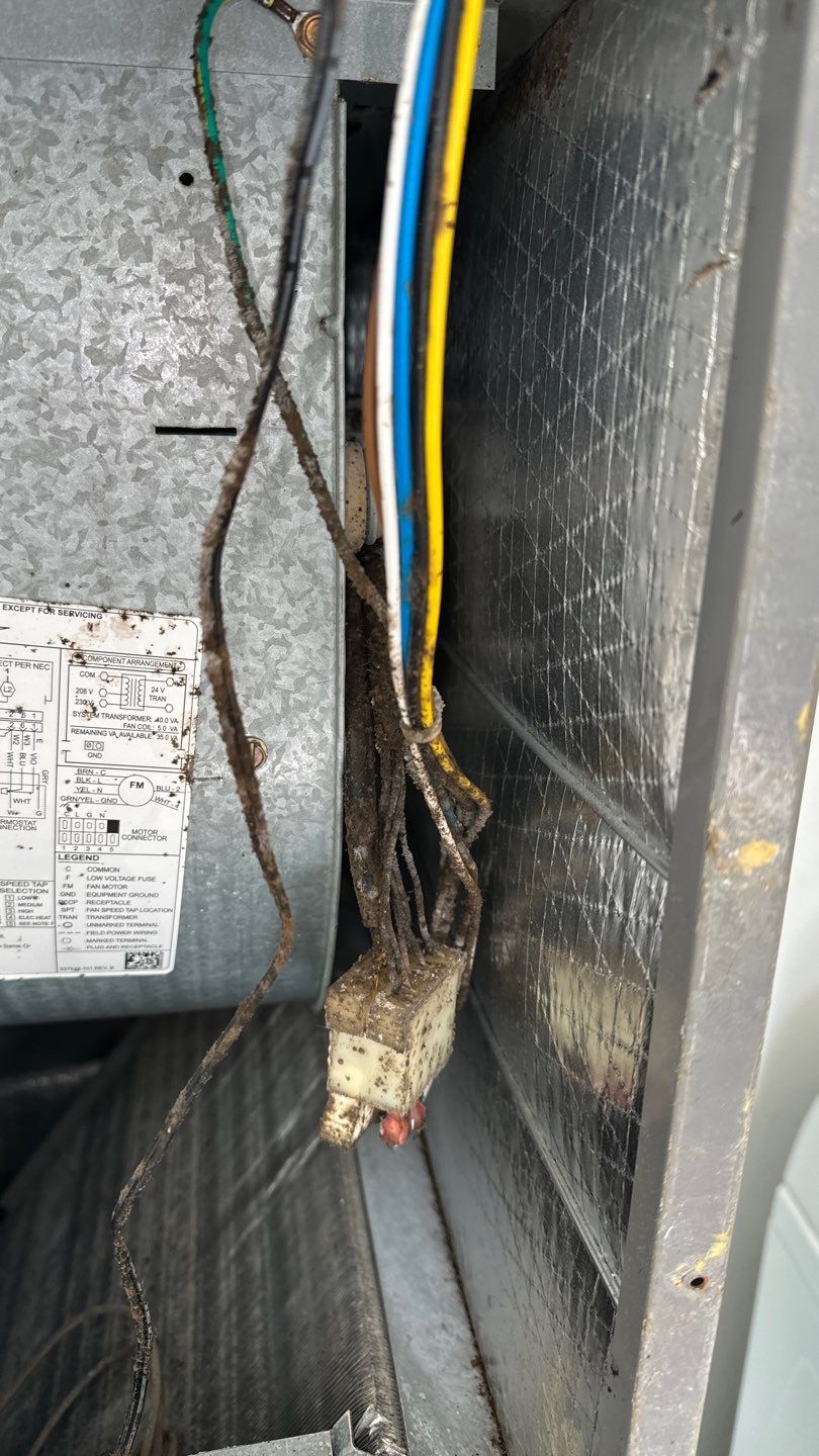 Air Duct Cleaning in Orlando by Hygienic Air, Inc