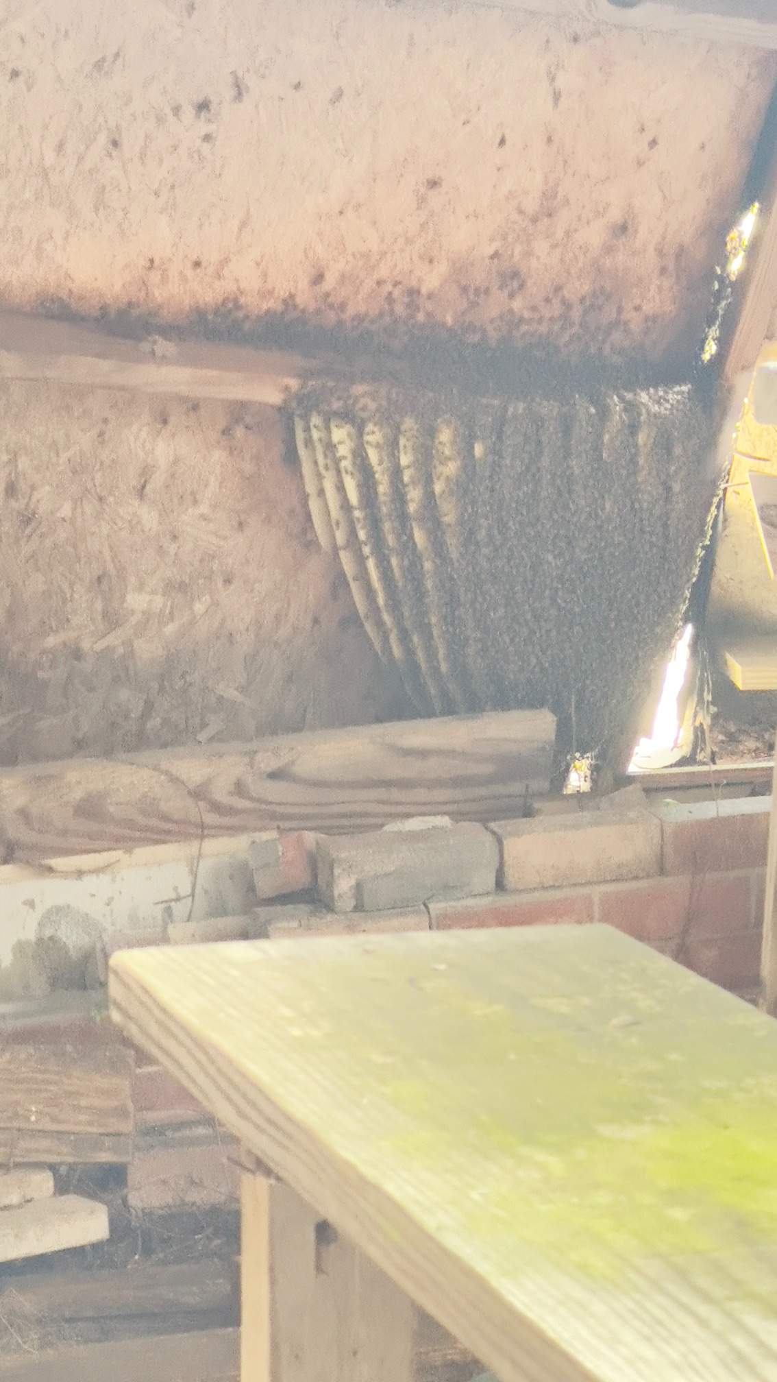 Open Air Garage Beesli by Rockwall Honey Bee Company