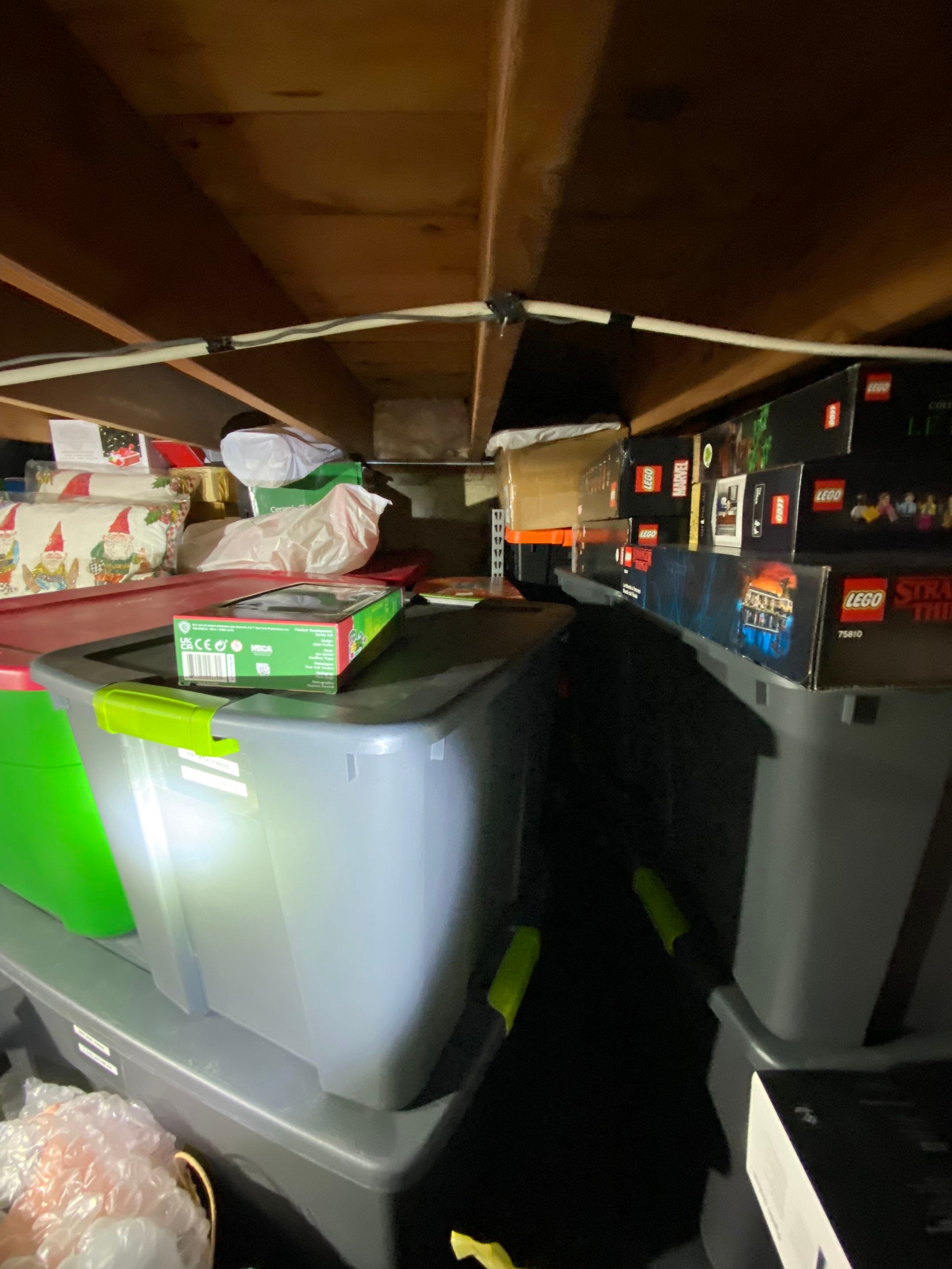 Crawlspace Sewage by Chicagoland Water Medics