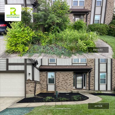 Complete Tear Out of Overgrown Landscape